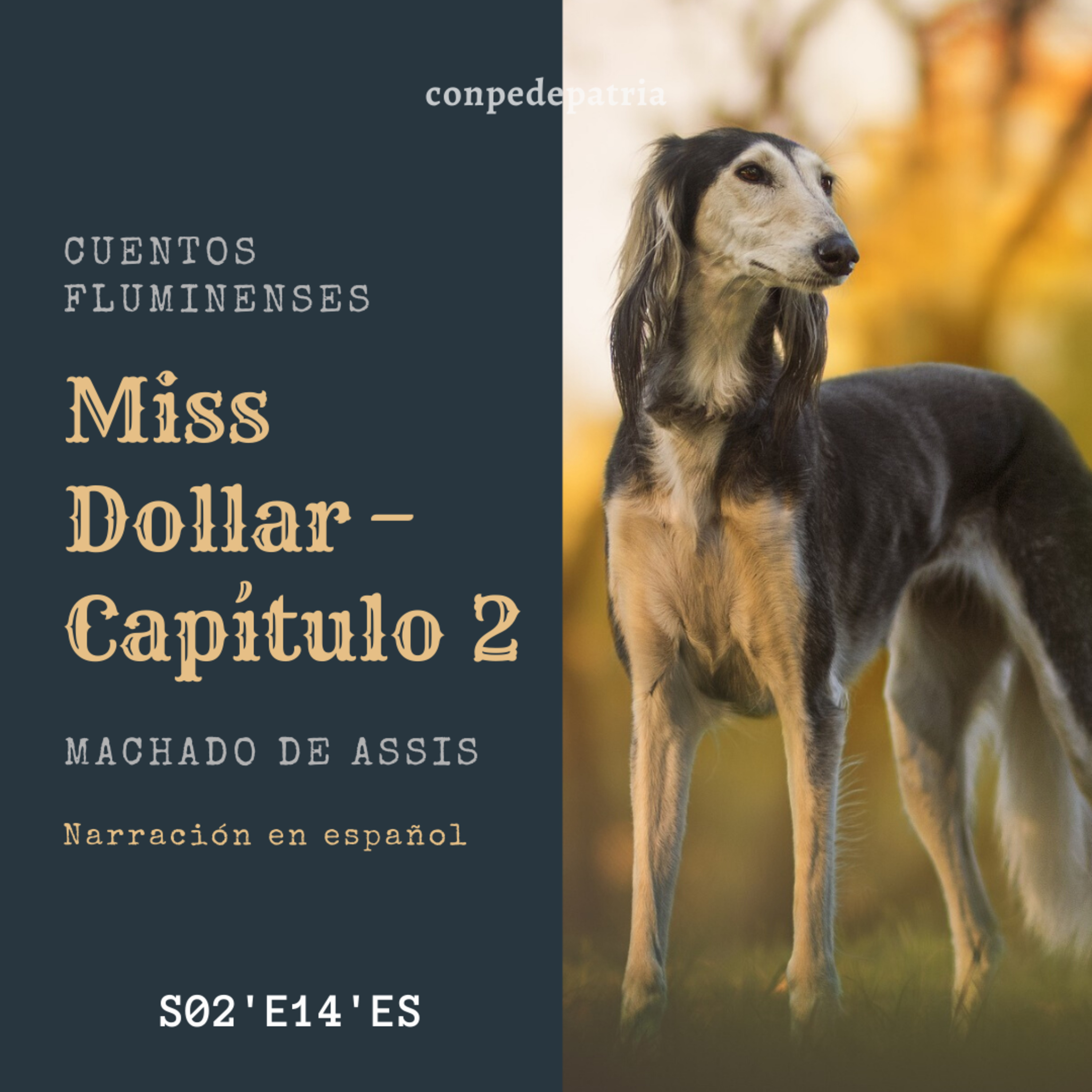 Conpedepatria │ Perú