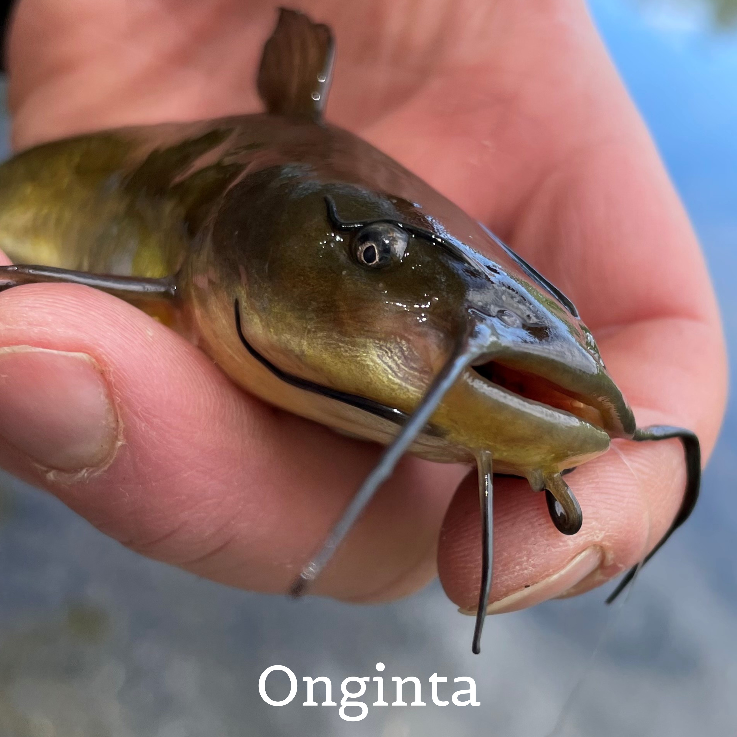 10. jakso: Onginta episode artwork