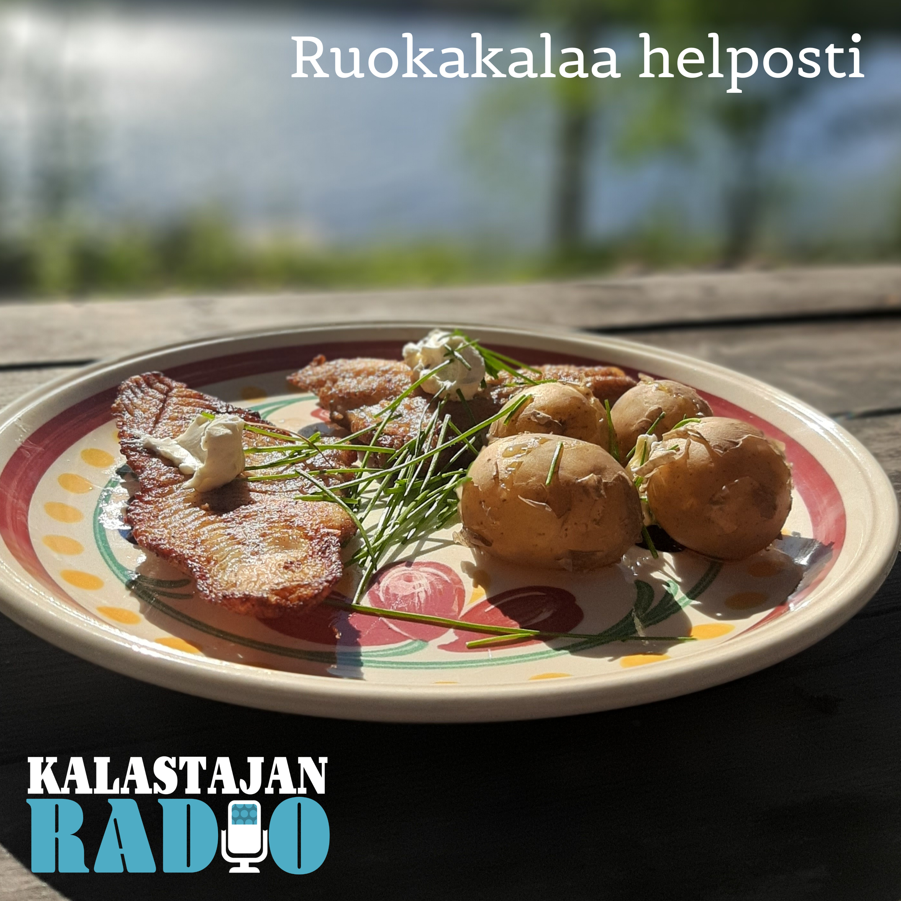Ruokakalaa helposti episode artwork