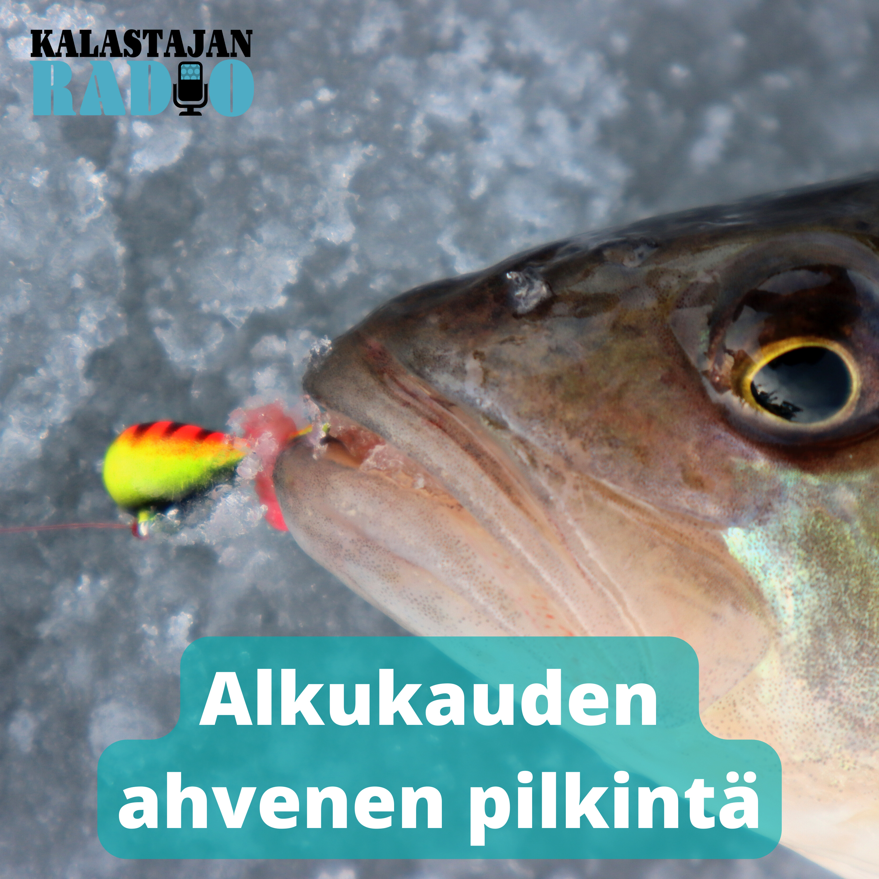 Alkukauden ahvenen pilkintä episode artwork