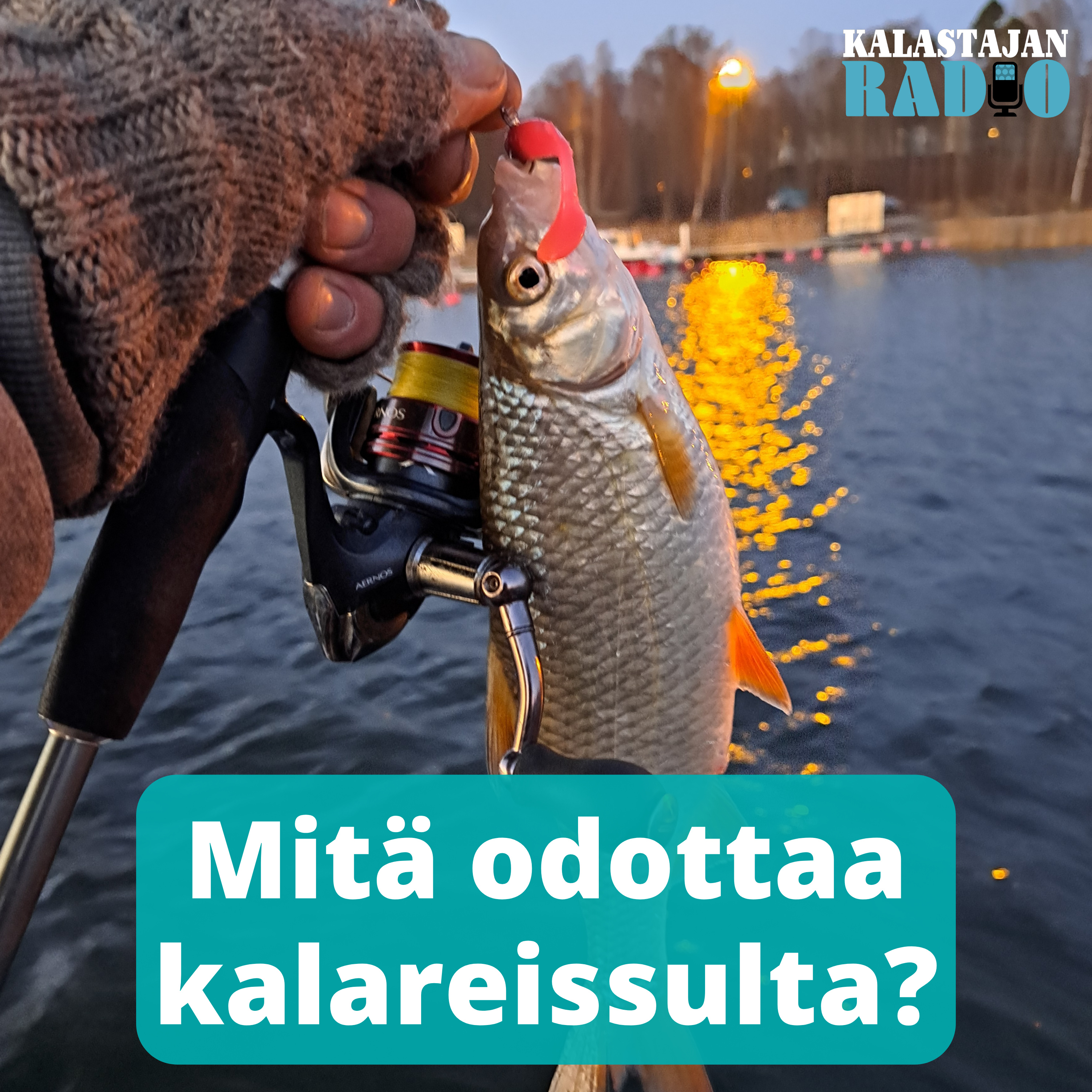 Mitä odottaa kalareissulta? episode artwork