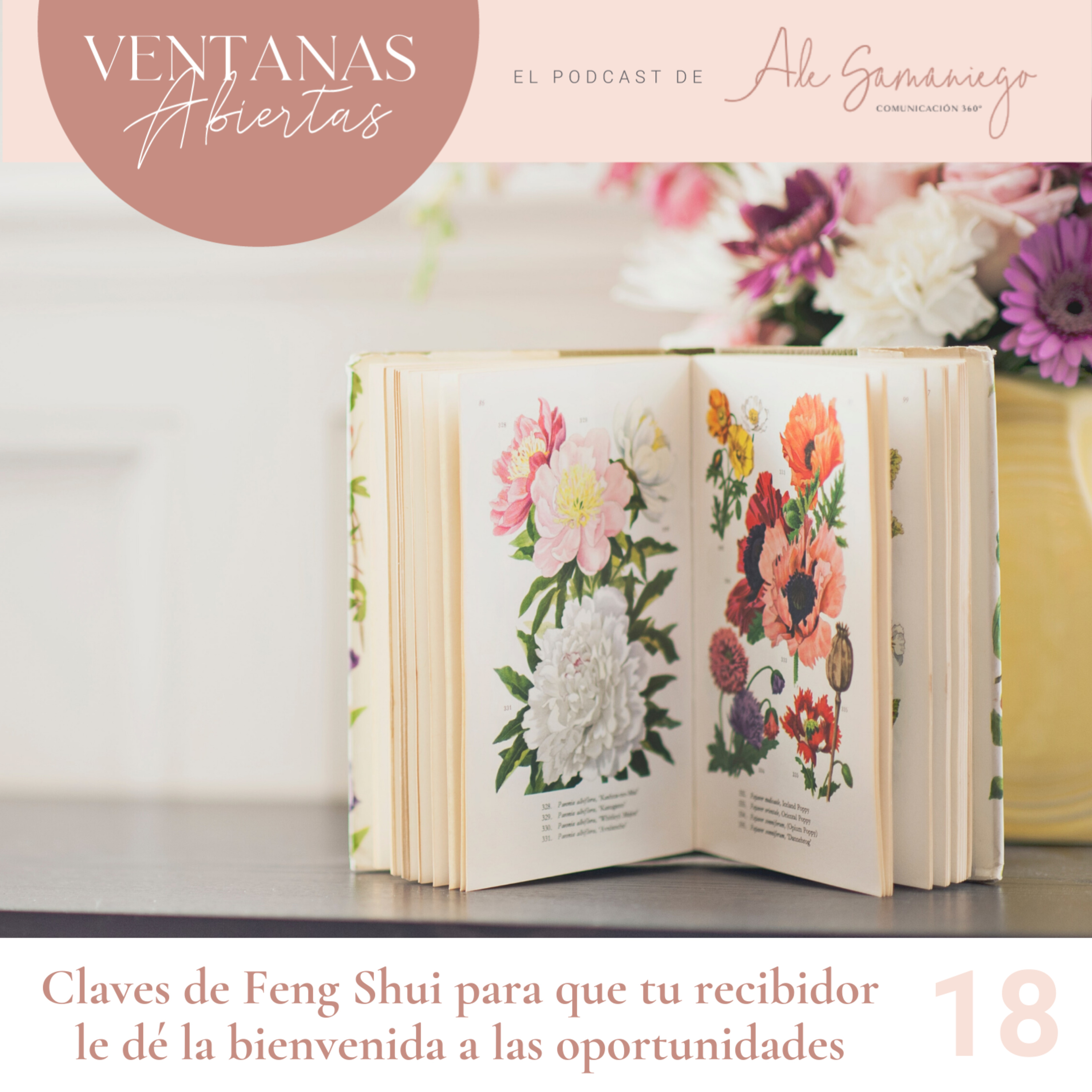 Ventanas Abiertas