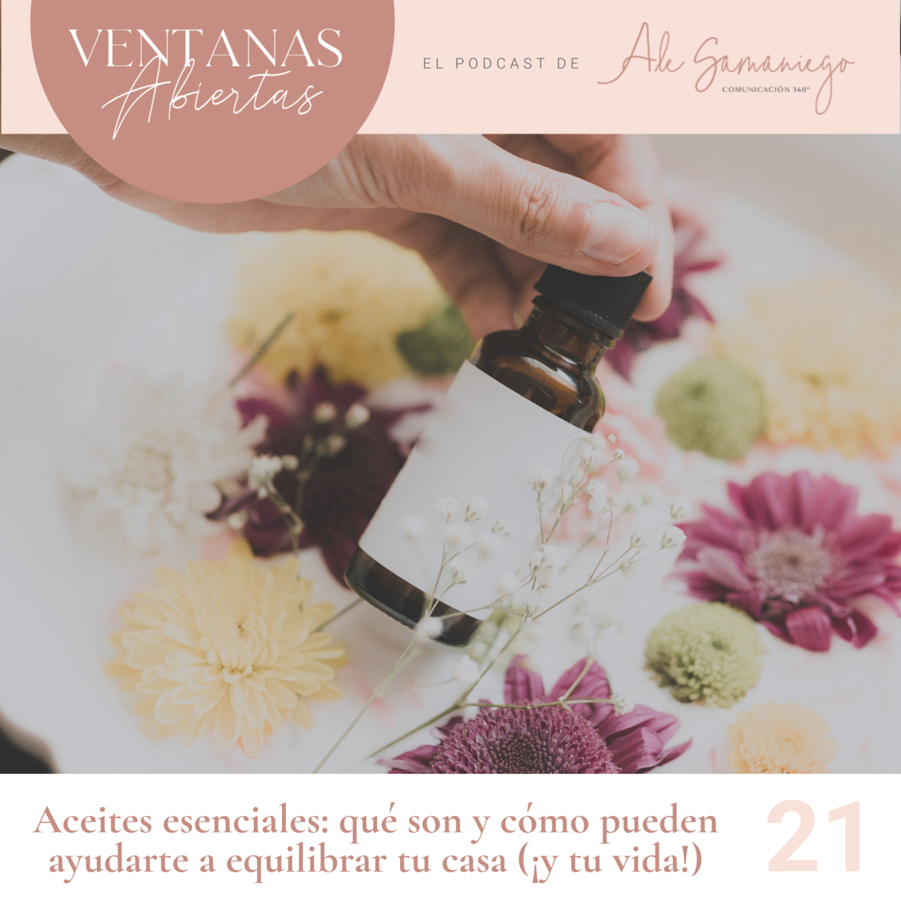 Ventanas Abiertas