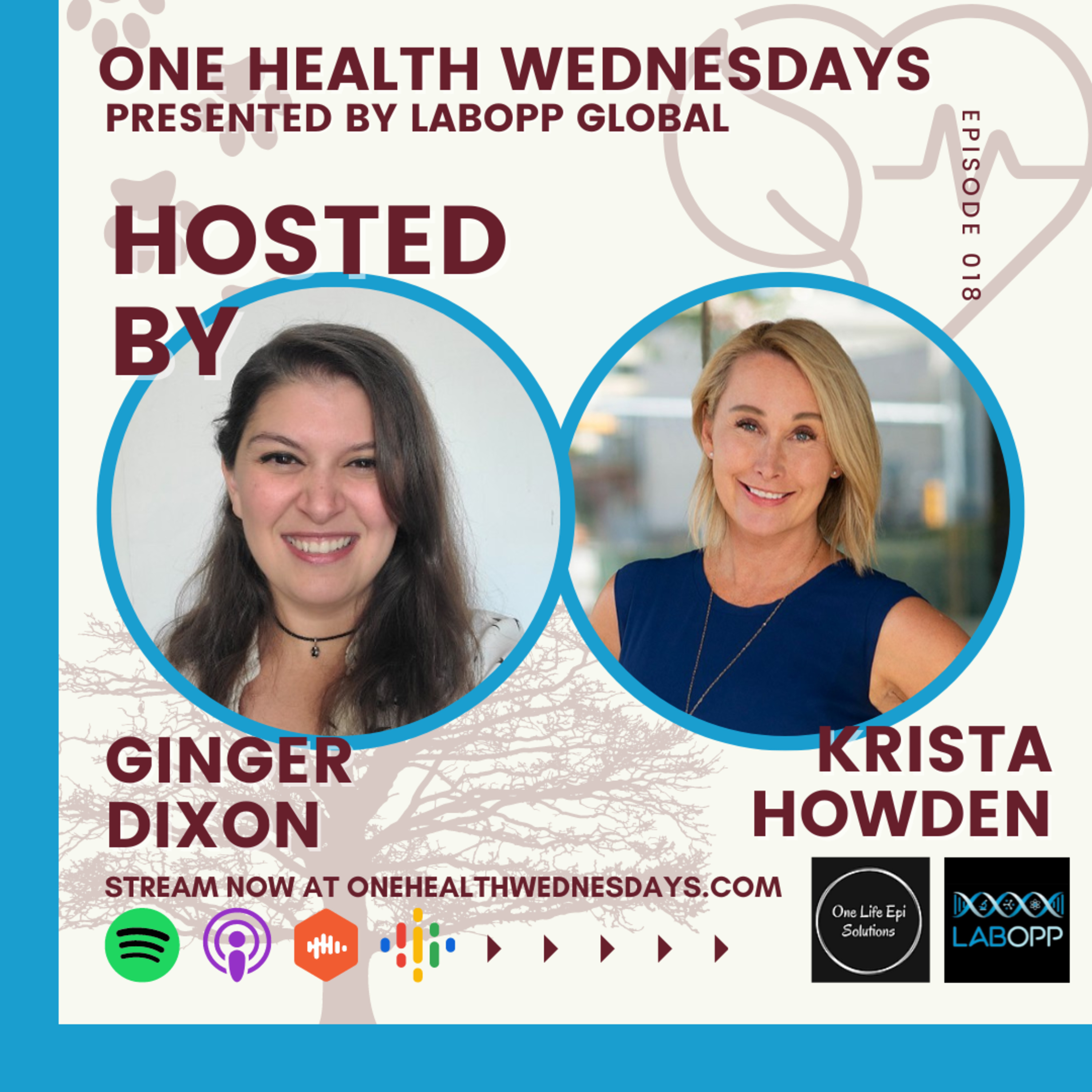 Episode 18: Creating your own salary using One Health. Special Guest: Krista Howden