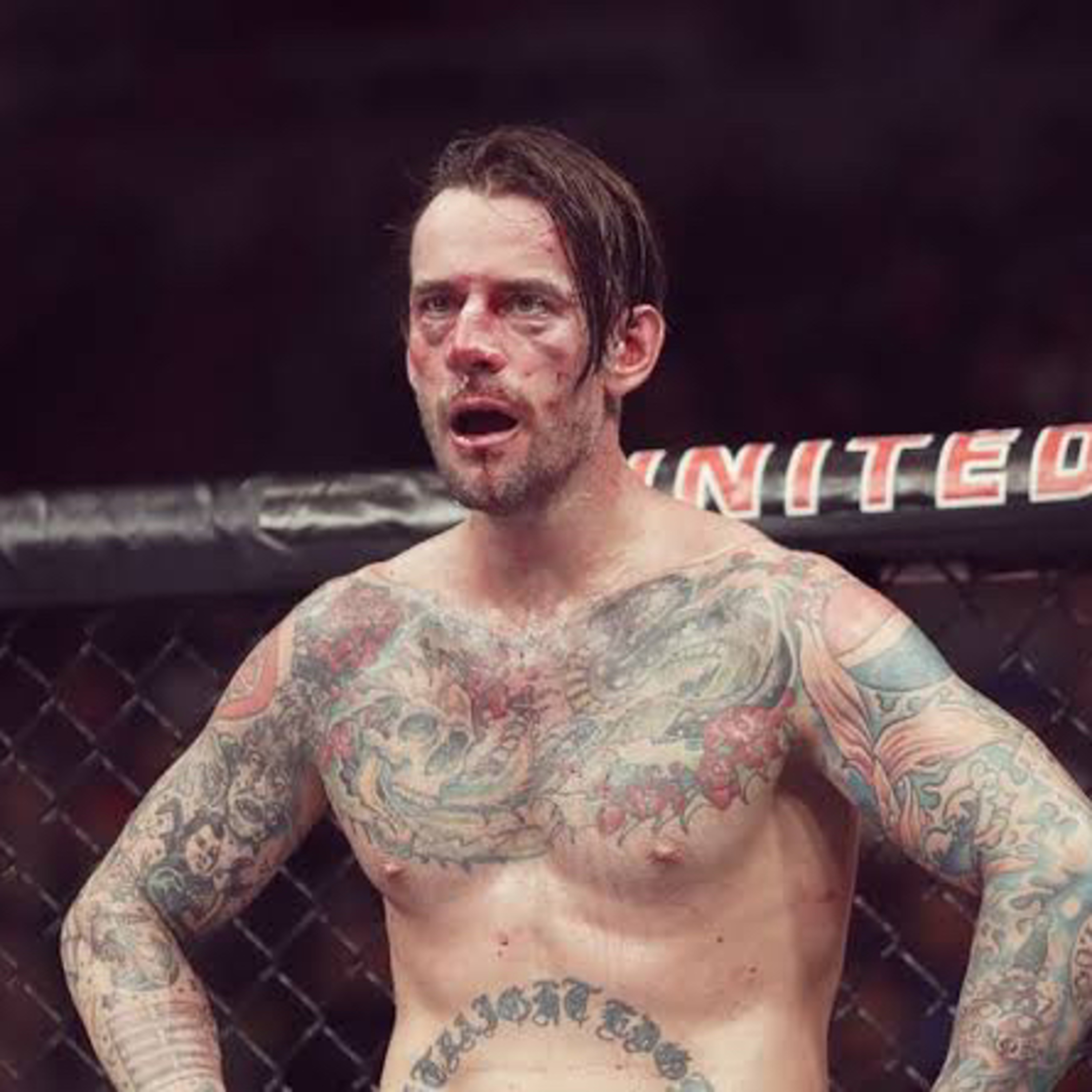 CM PUNK SI PEGULAT GAK BENER NIH