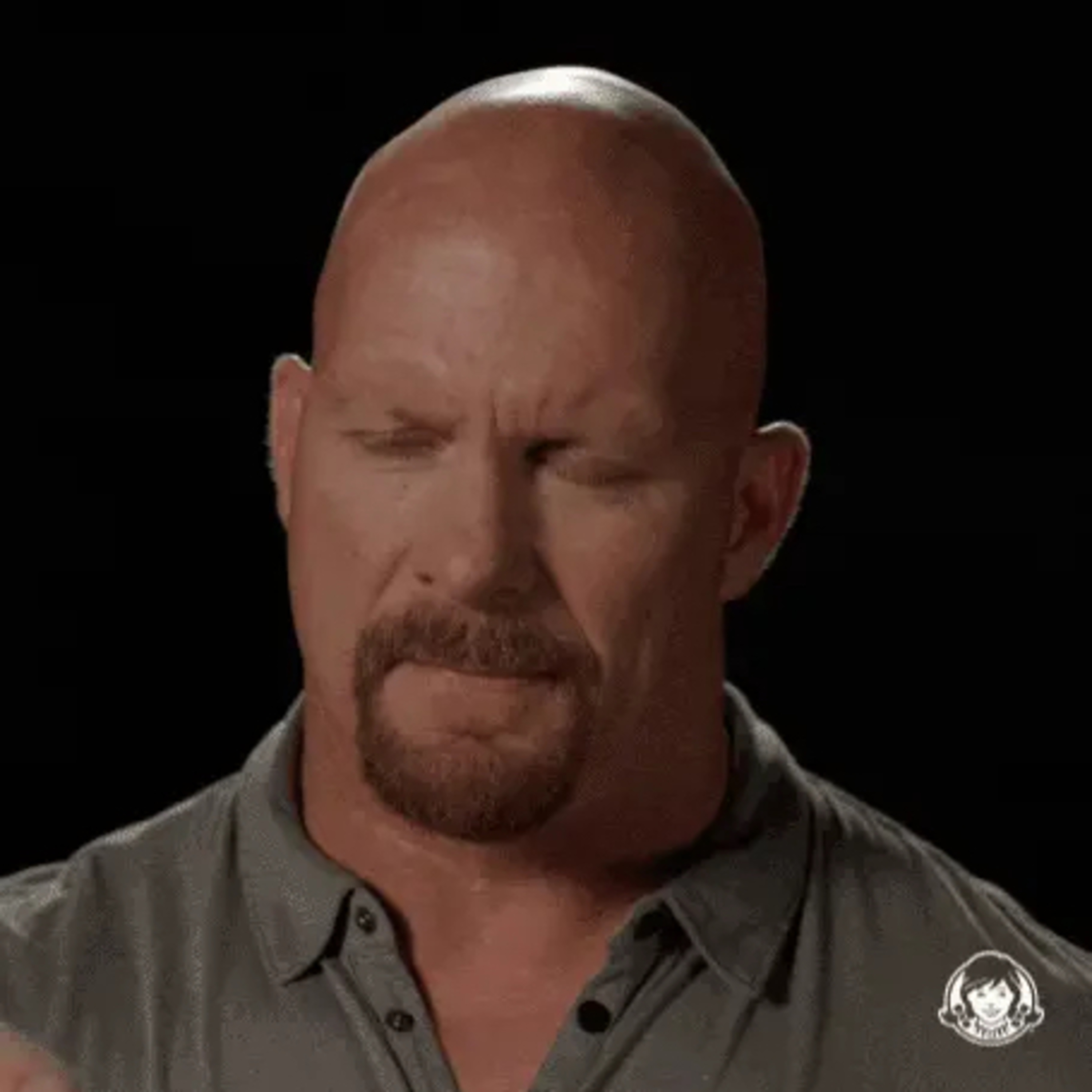 Kisah Wretling Stone Cold Steve Austin dari Mega Star sampe jadi Babu Brock Lesnar episode artwork
