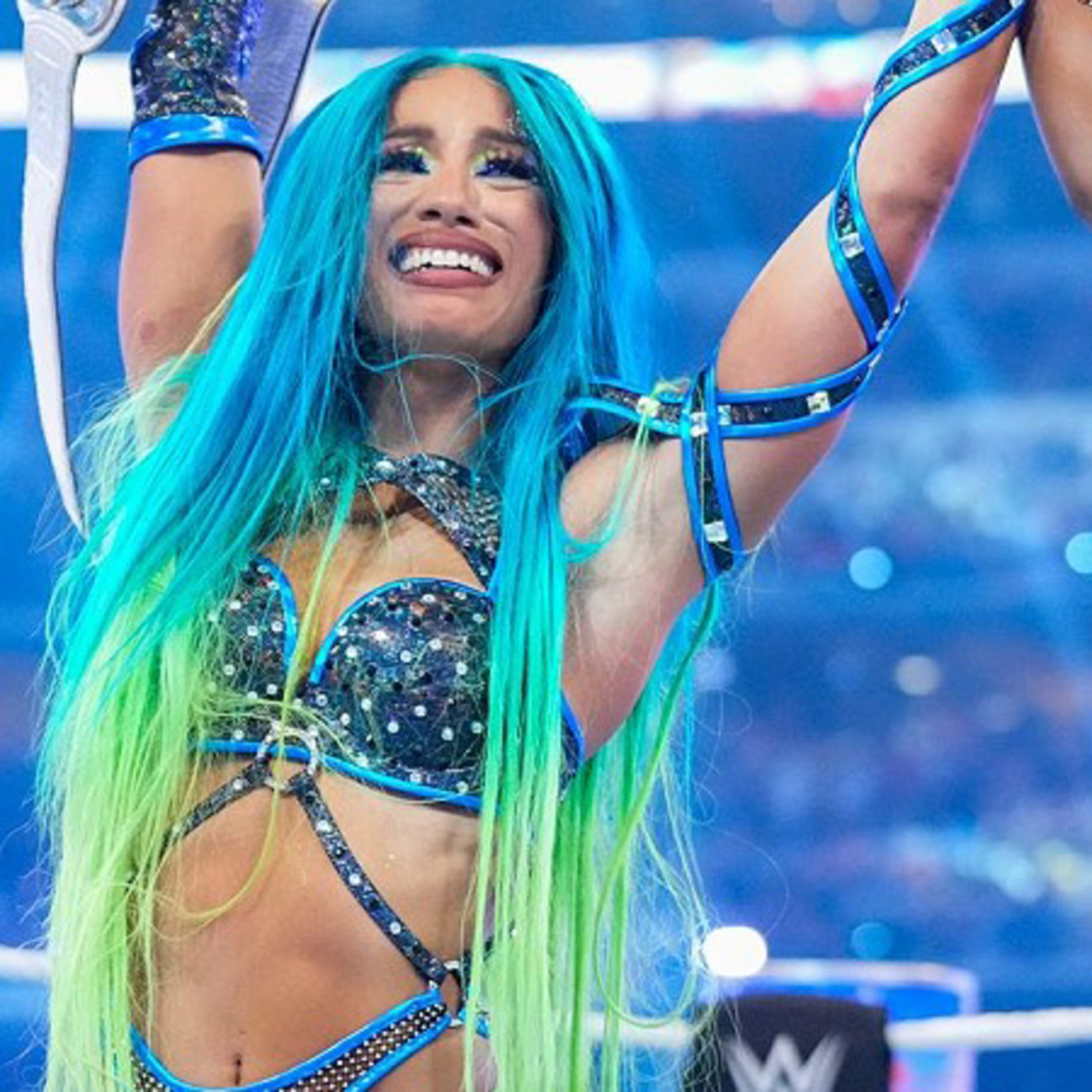Berita wrestling Update soal sasha banks dan naomi, Update card dari Double Or nothing episode artwork