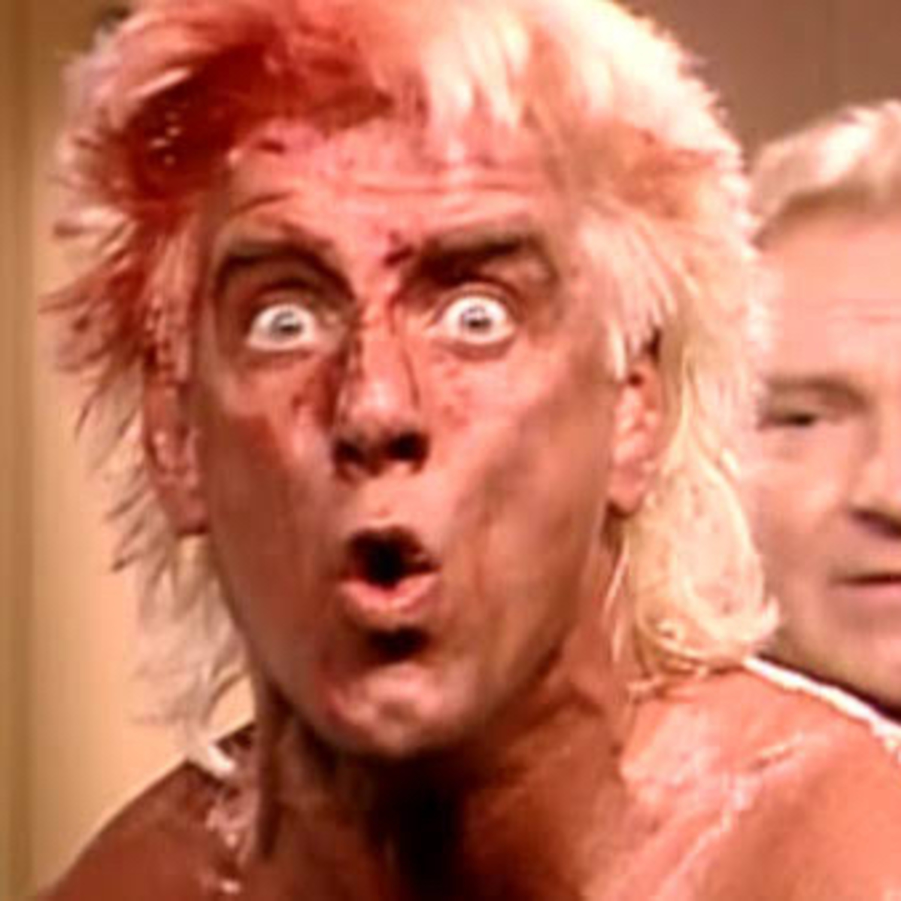 Ric flair retirement match
