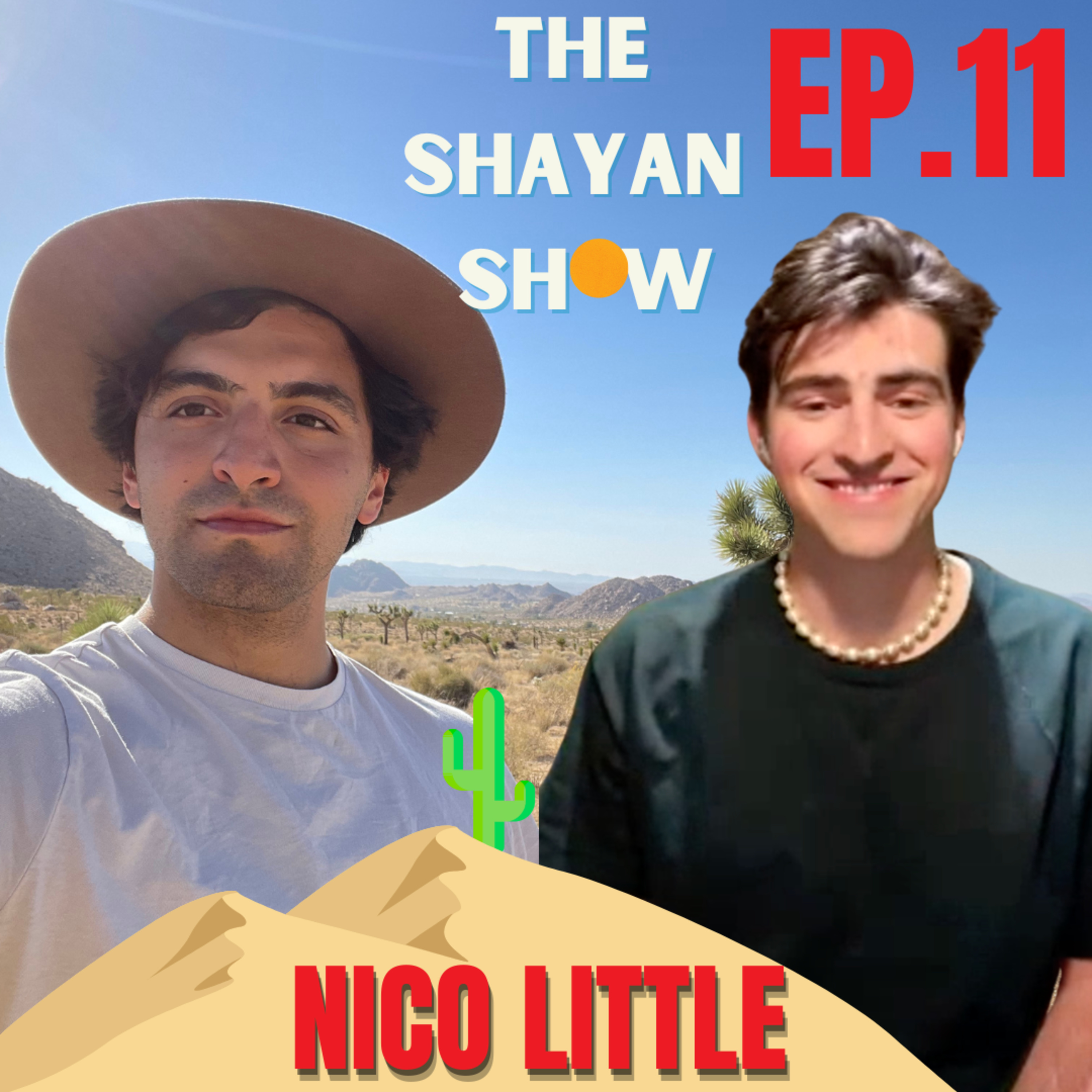 The Shayan Show