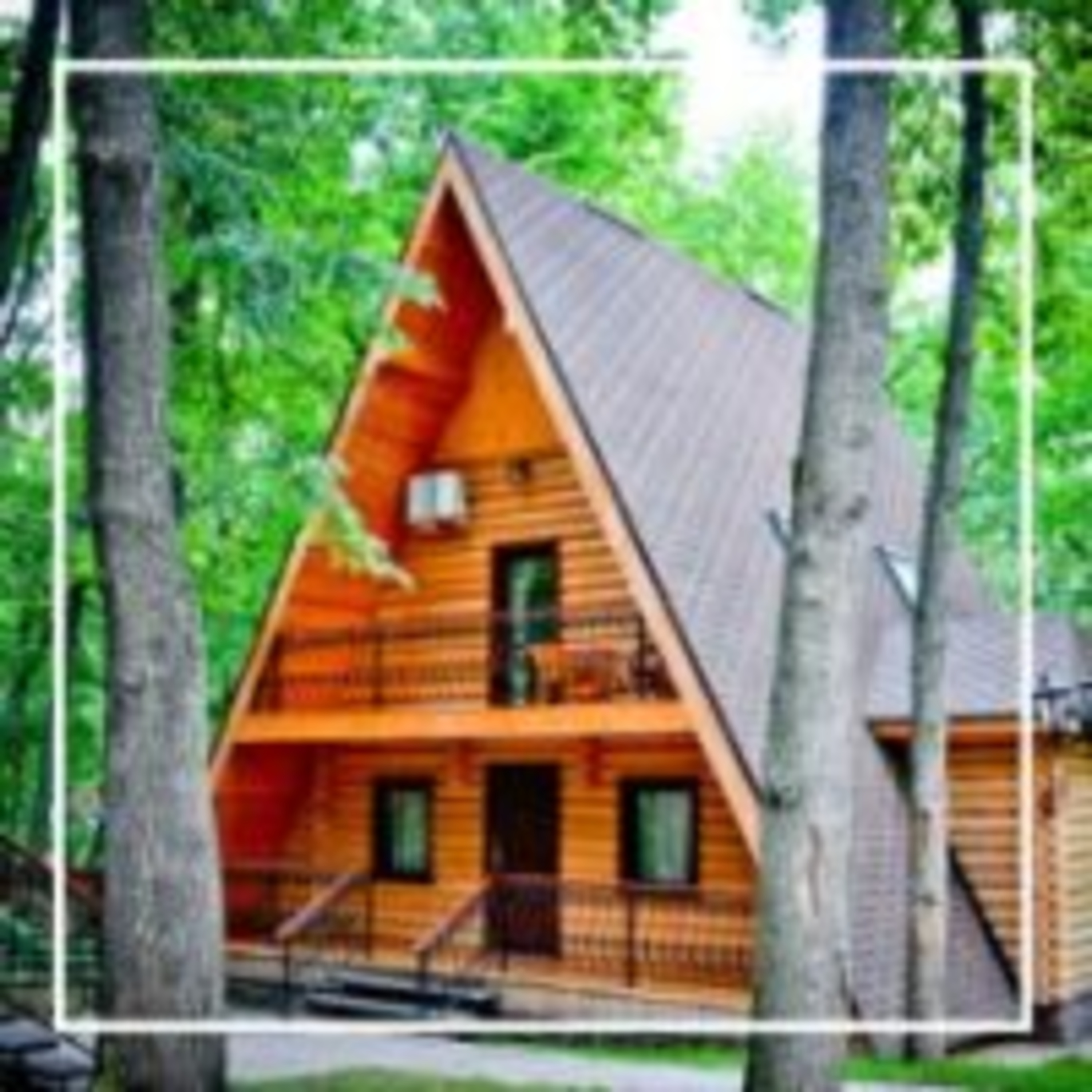 309. Отдыхаем за городом