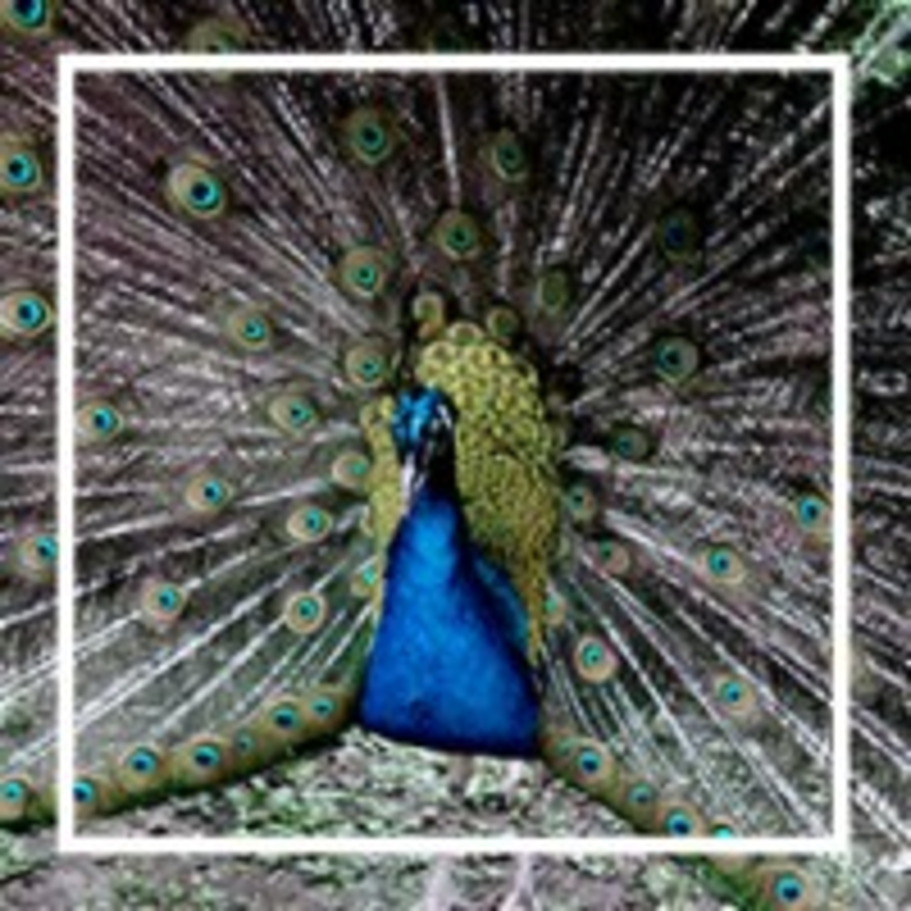 10. Московский зоопарк