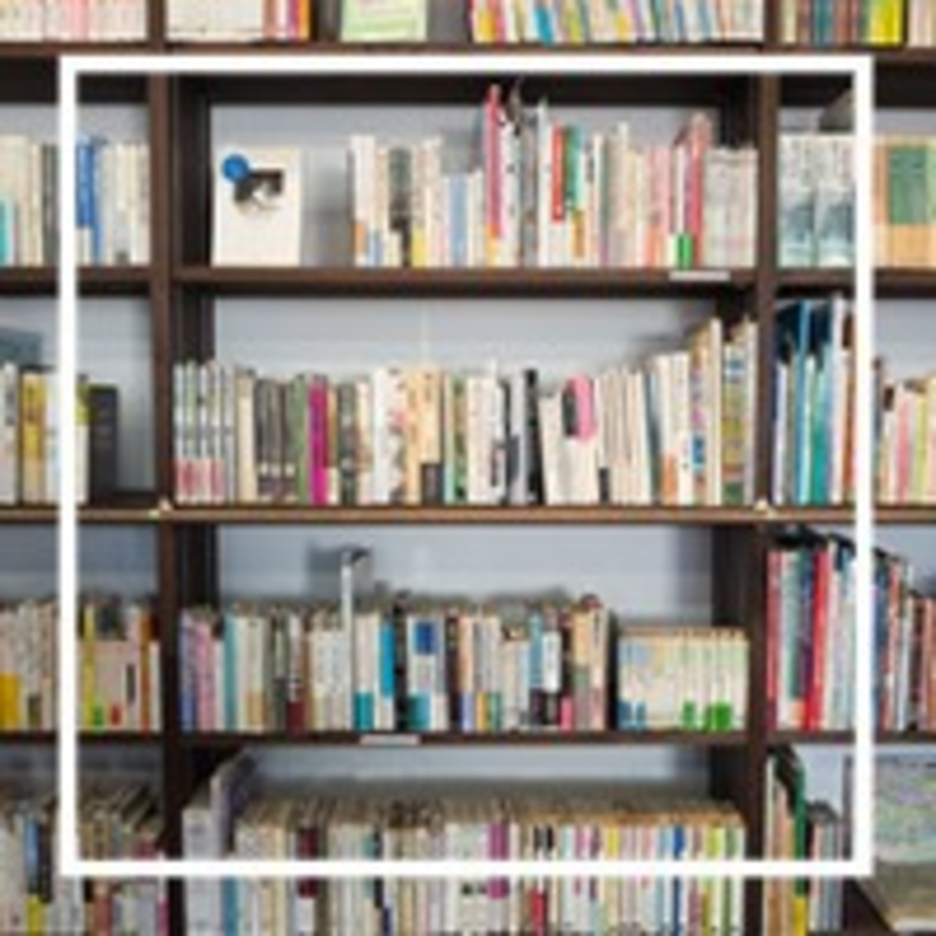 15. В книжном магазине