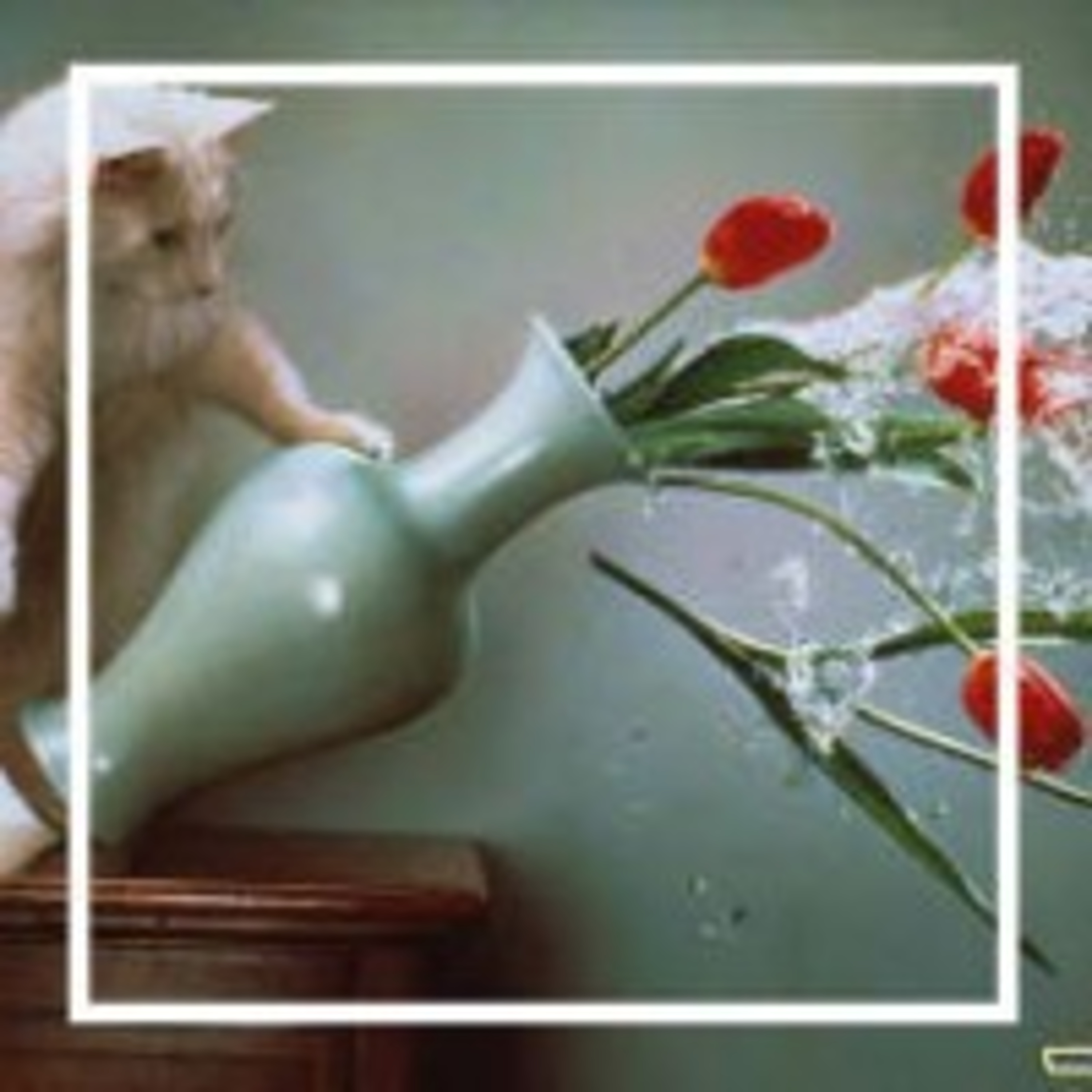 85. Домашние животные