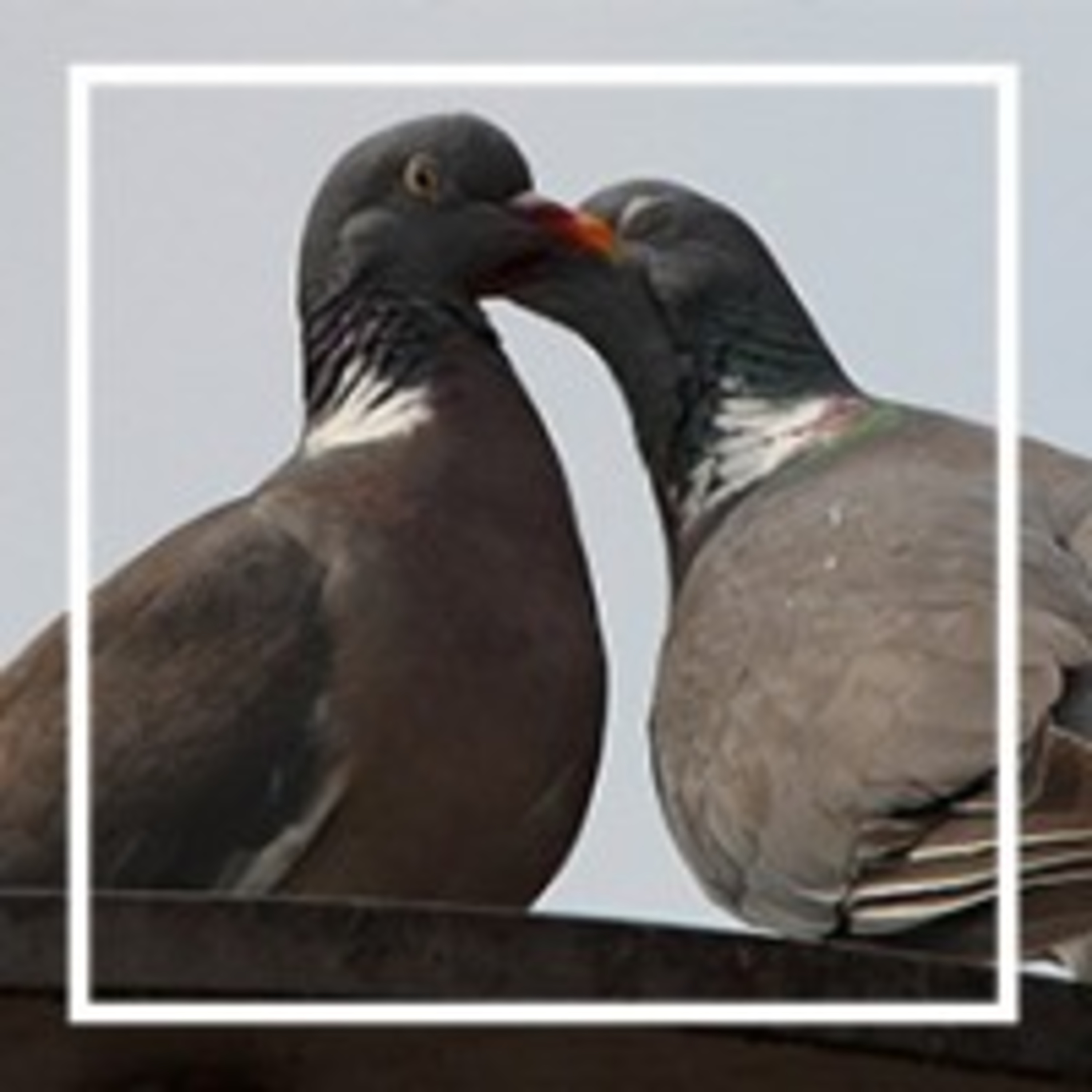 115. Неудачный флирт