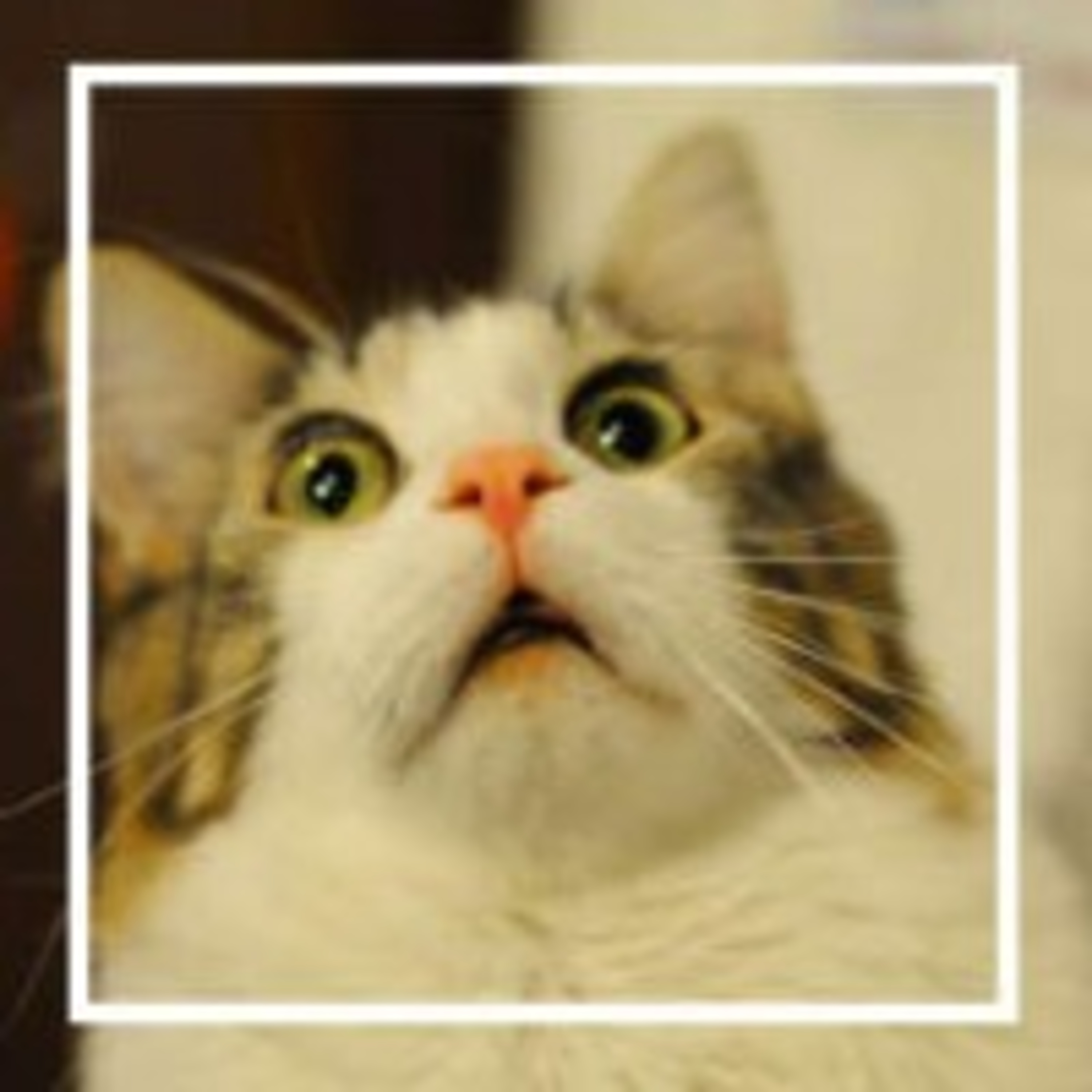 195. Вот это да!