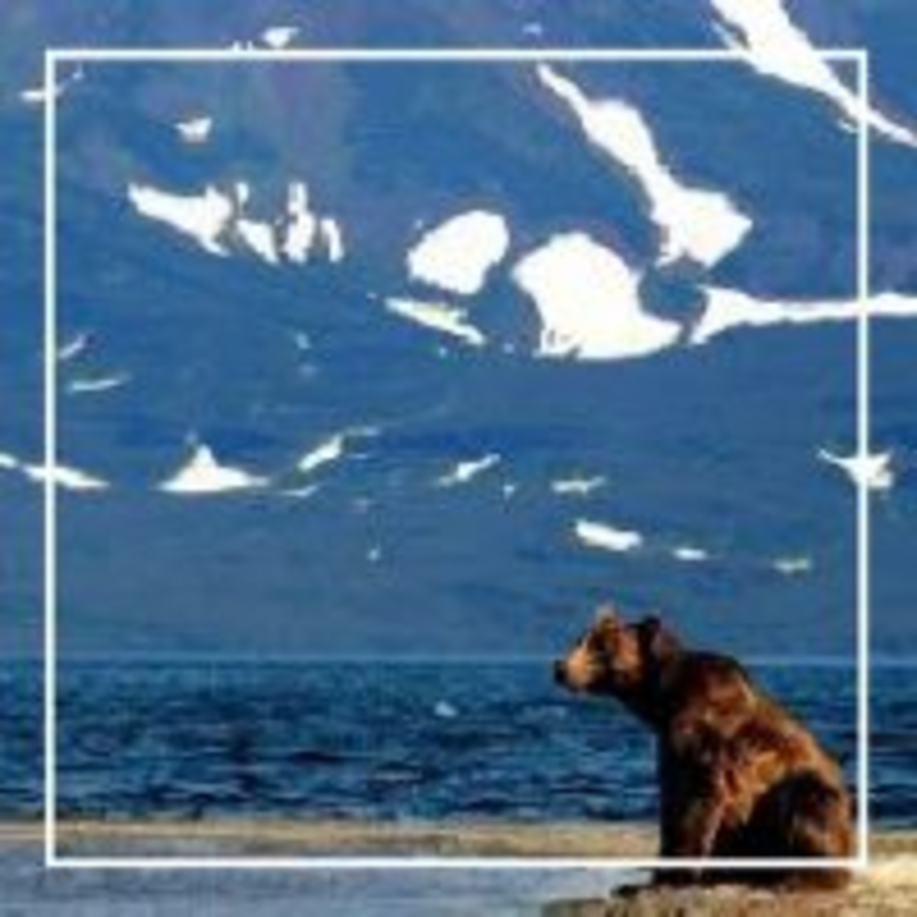 250. Камчатка