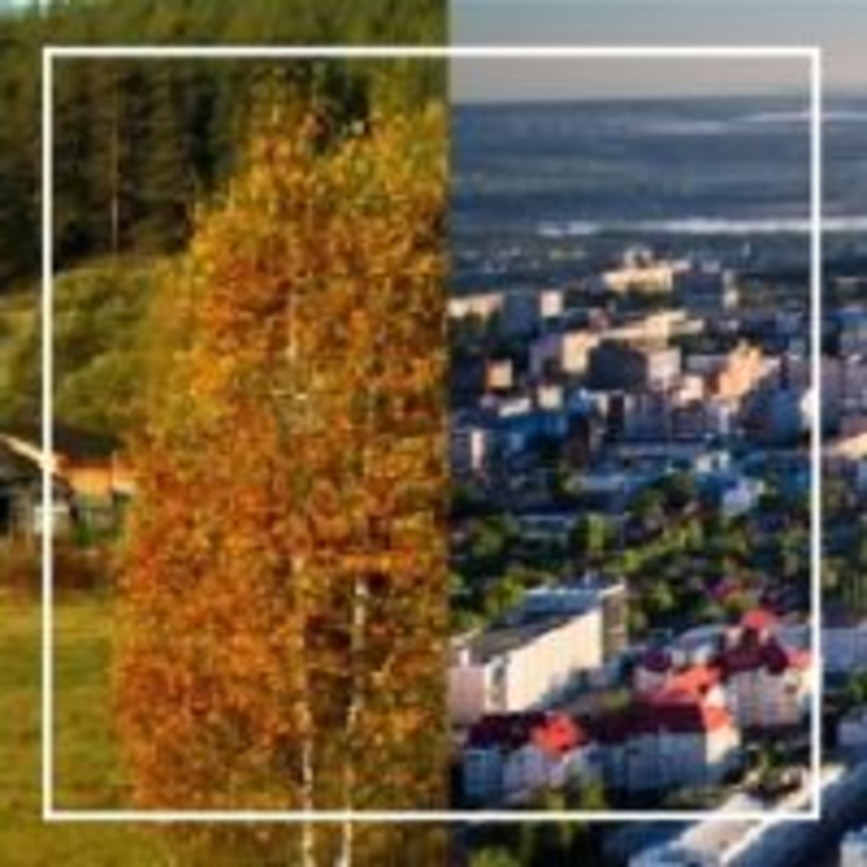 257. Город или деревня?