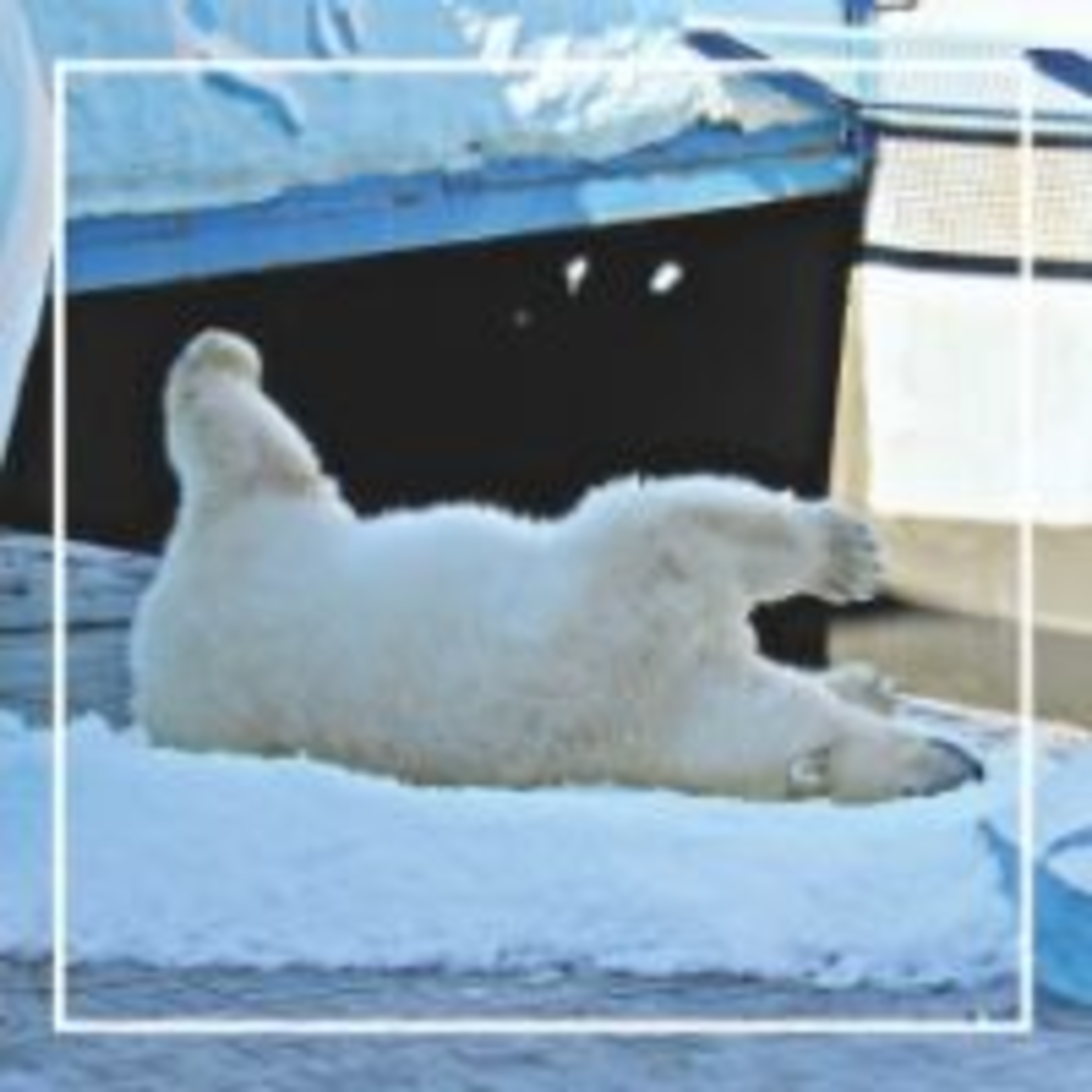 265. Как выжить в жару?