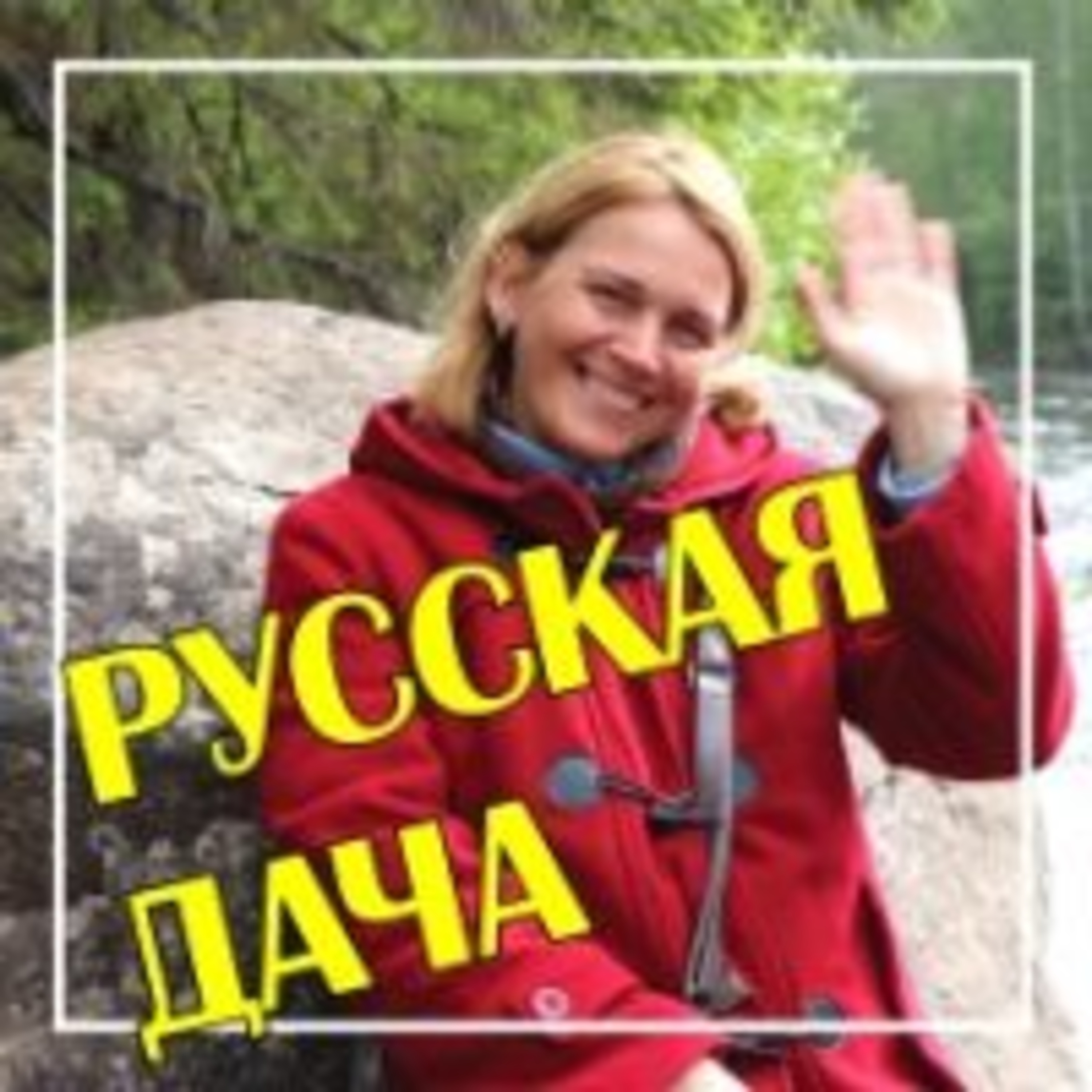 266. Карельская берёза