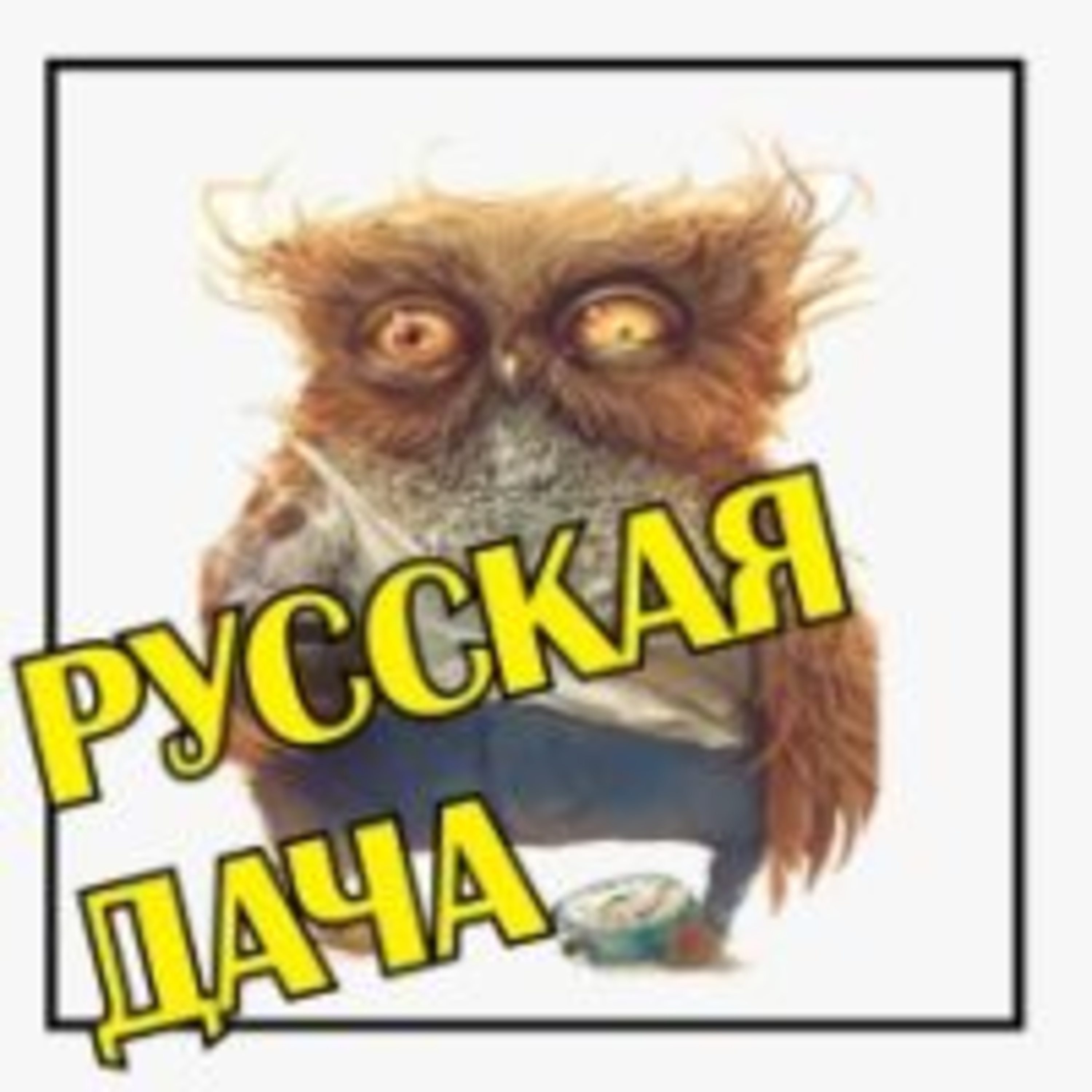 275. Сова или жаворонок?