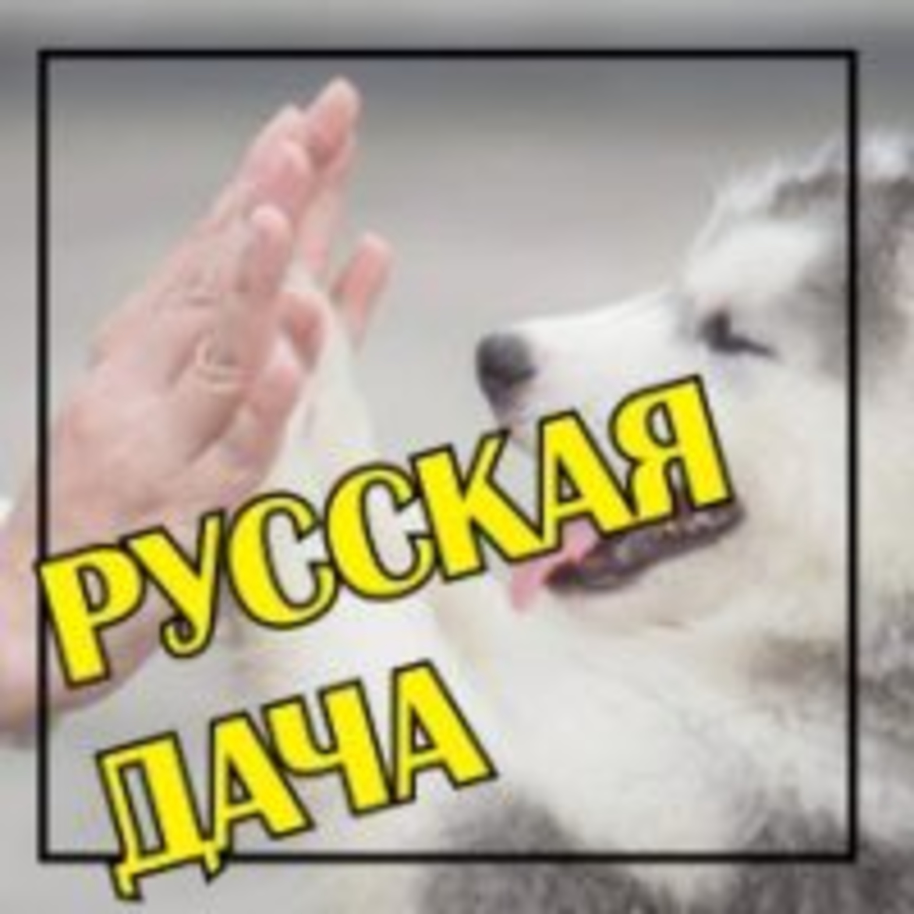 278. Повелительная форма - Императив