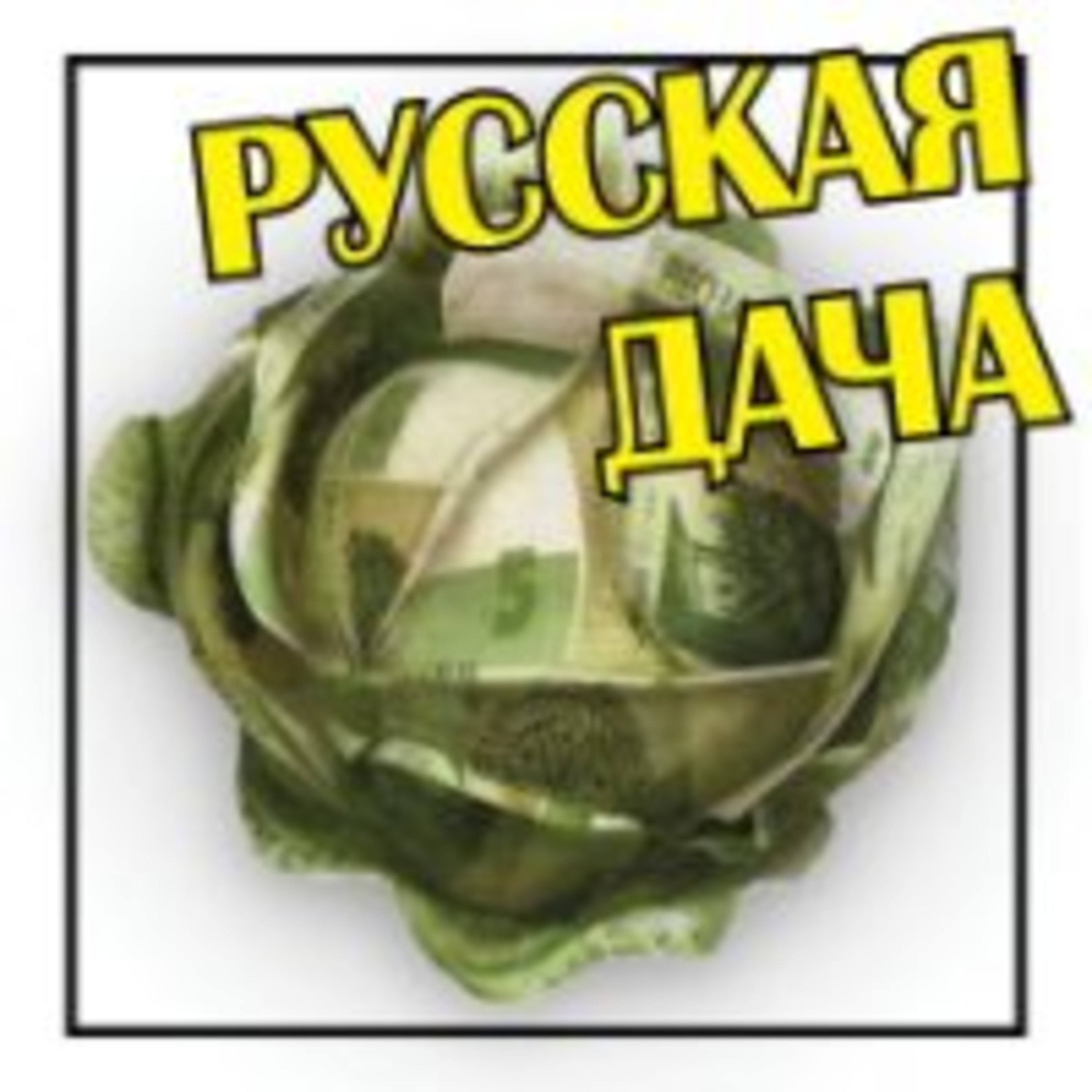 292. Жаргонная лексика деньги