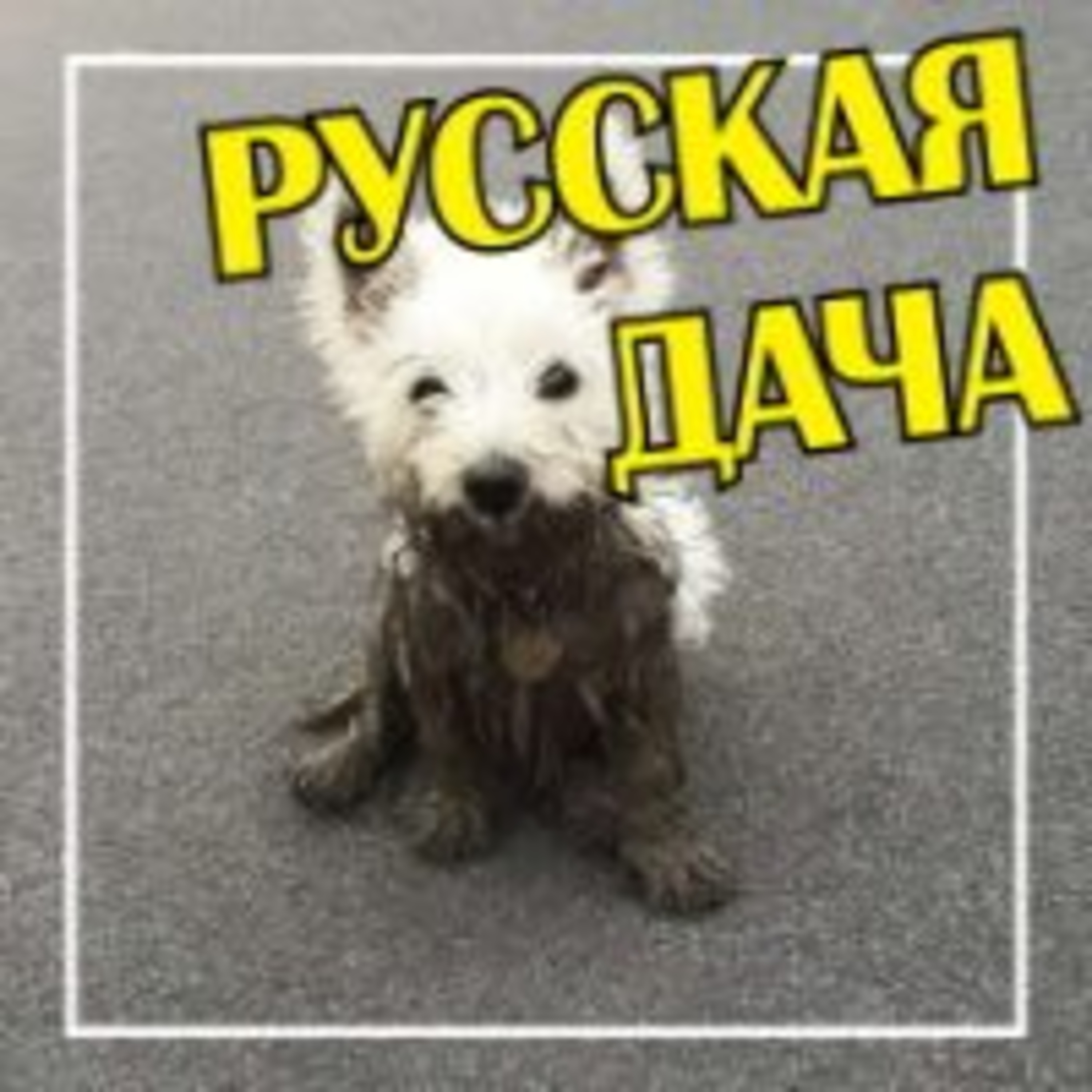 296. Чистое и грязное