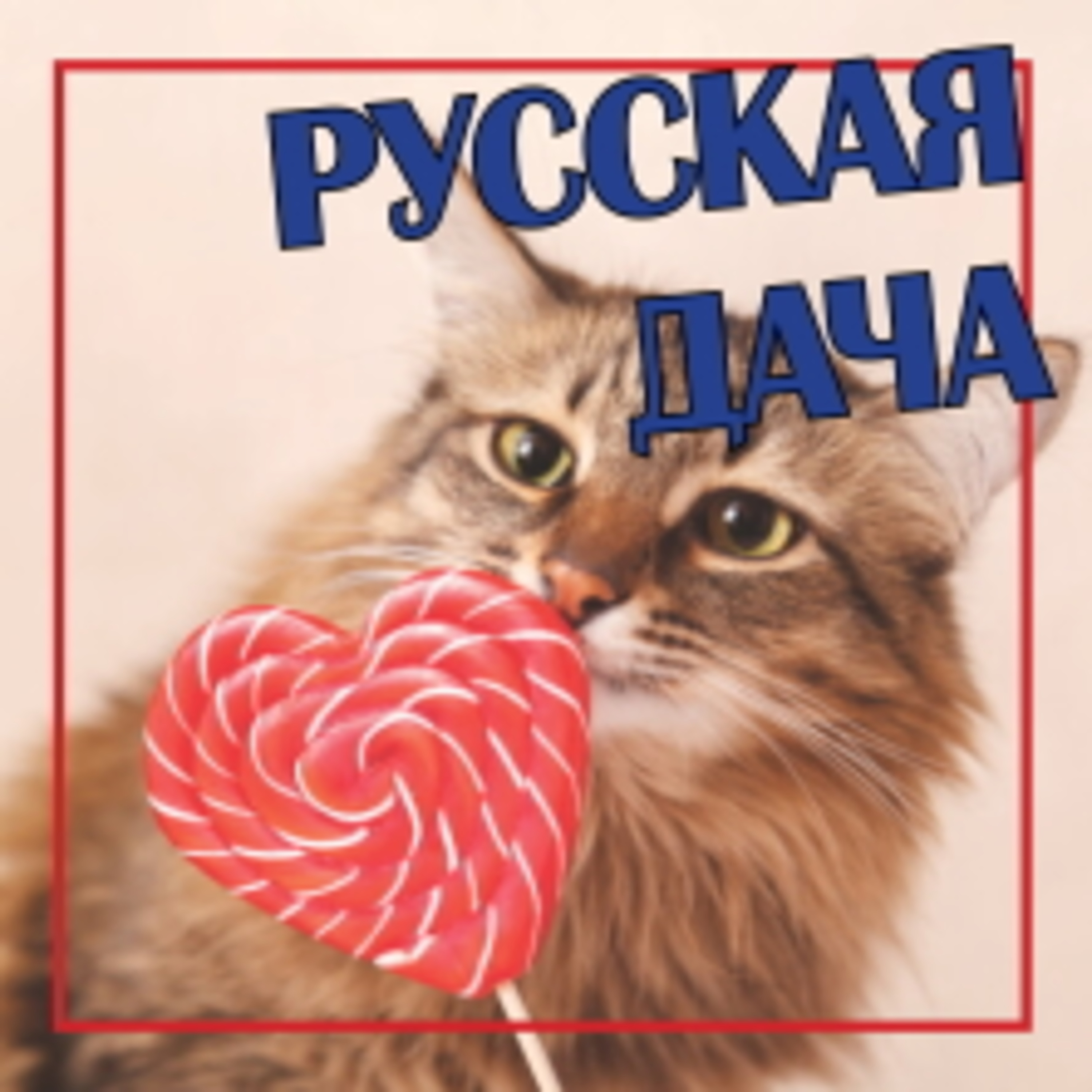 320. Пять чувств