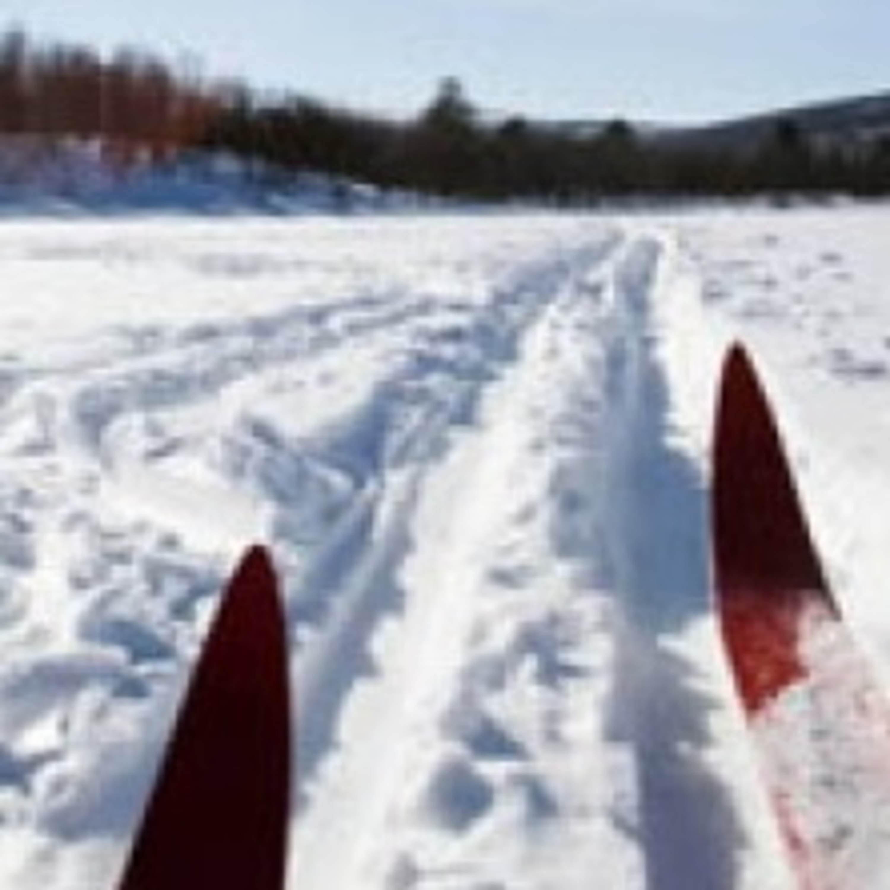 323. Катаемся на лыжах