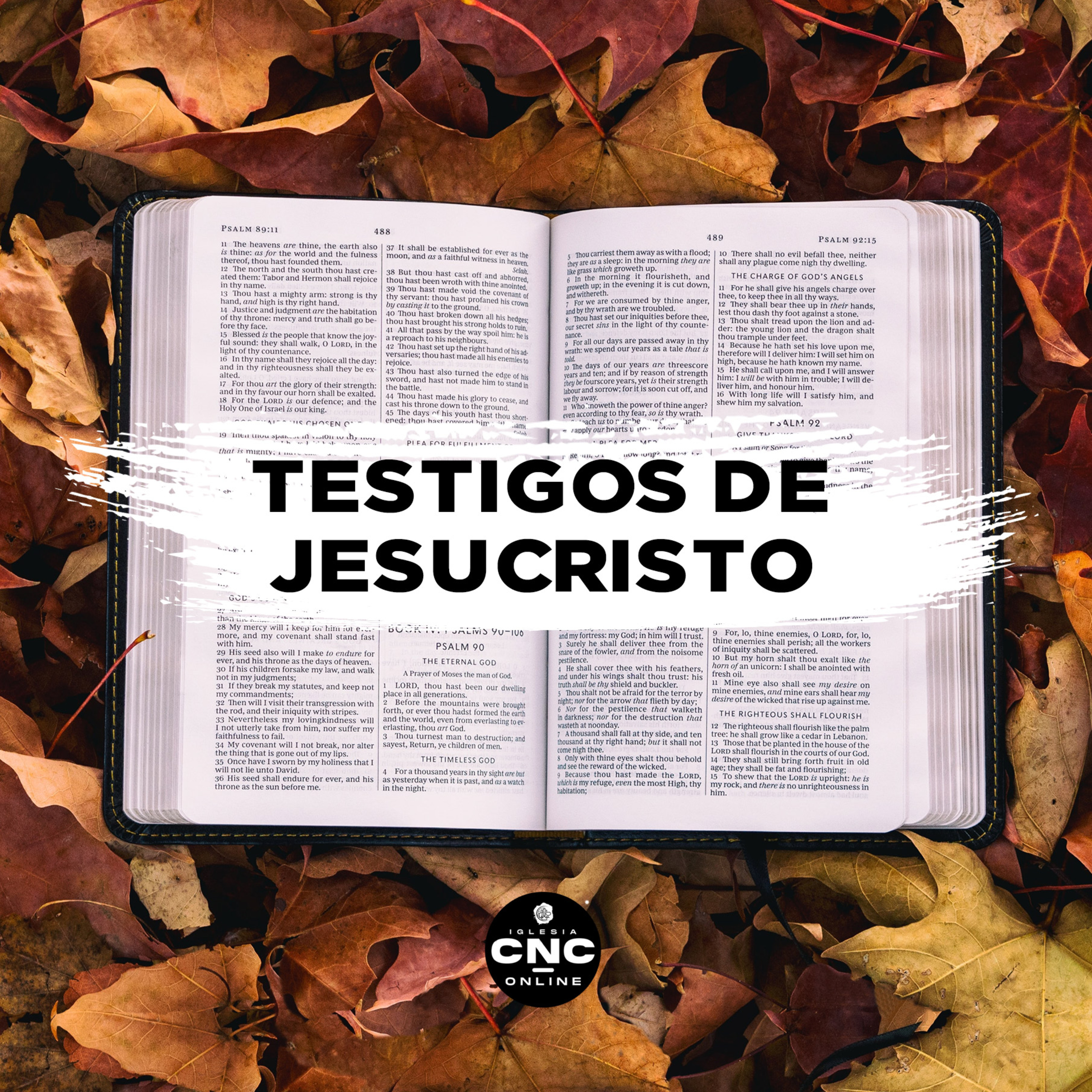 CNC Podcast