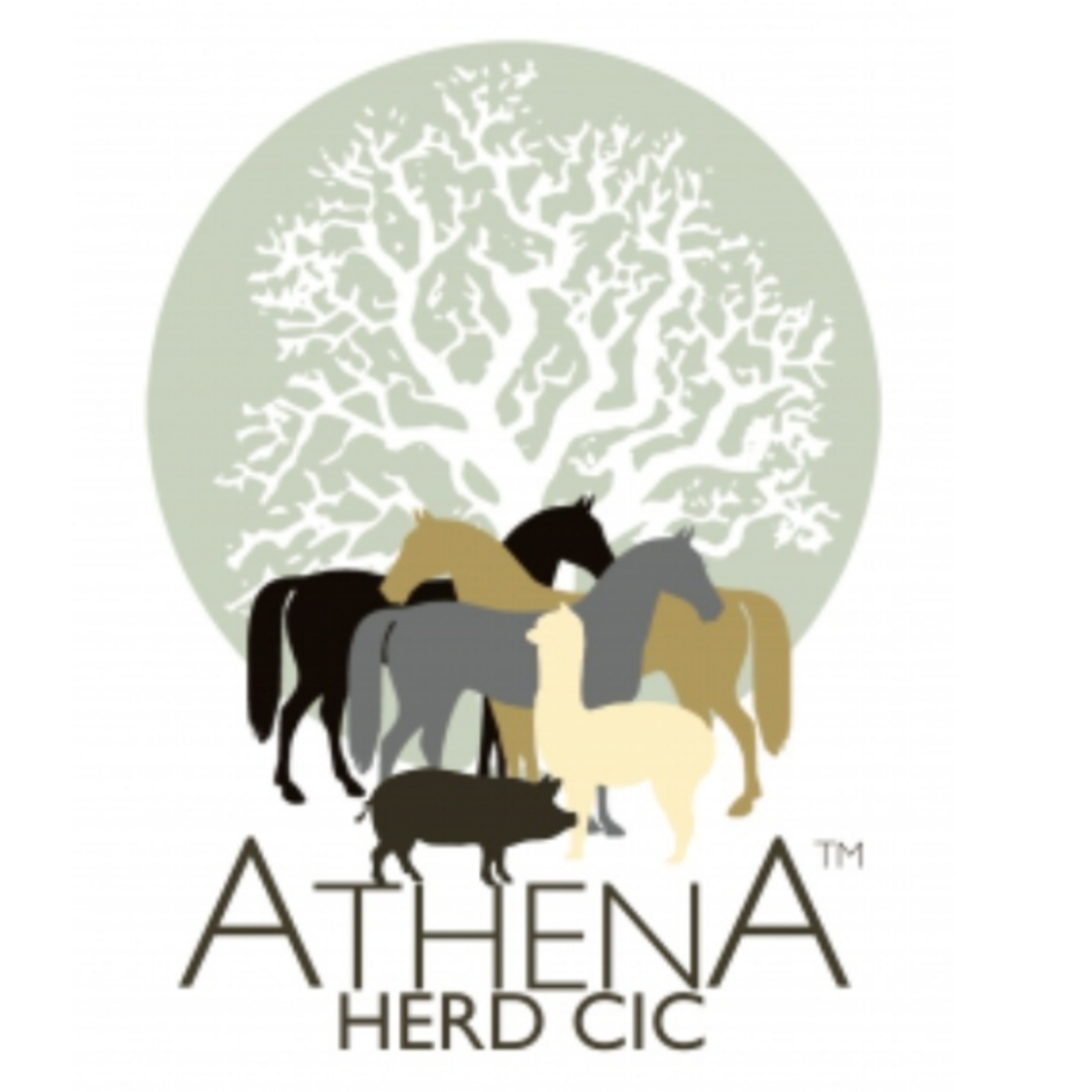 2.1: Athena Herd: How pets can increase our well being, self awareness and self regulation. episode artwork