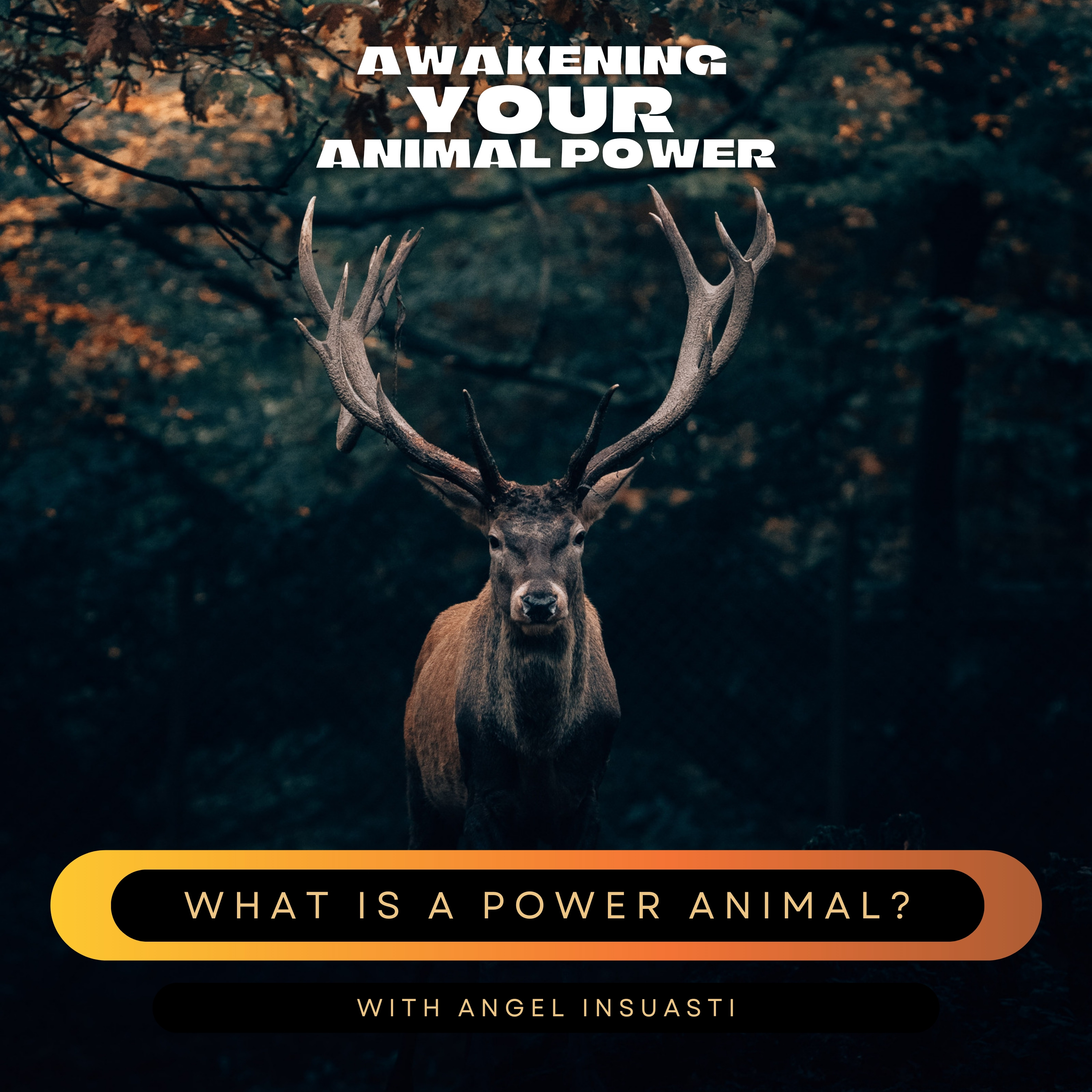 Awakening your Animal Power