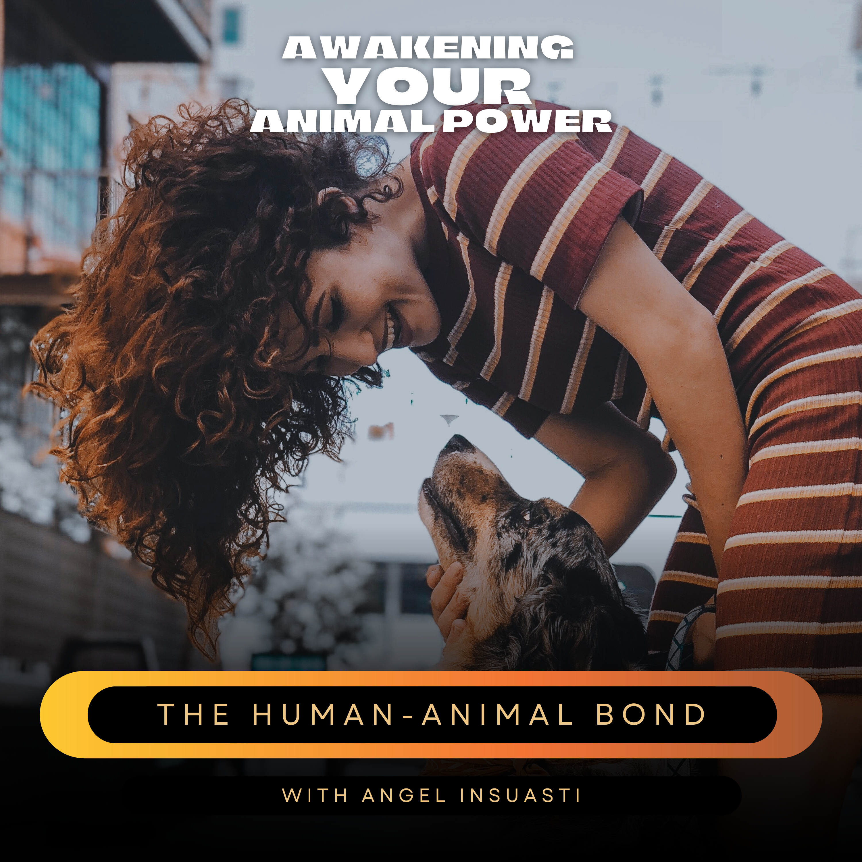 Awakening your Animal Power
