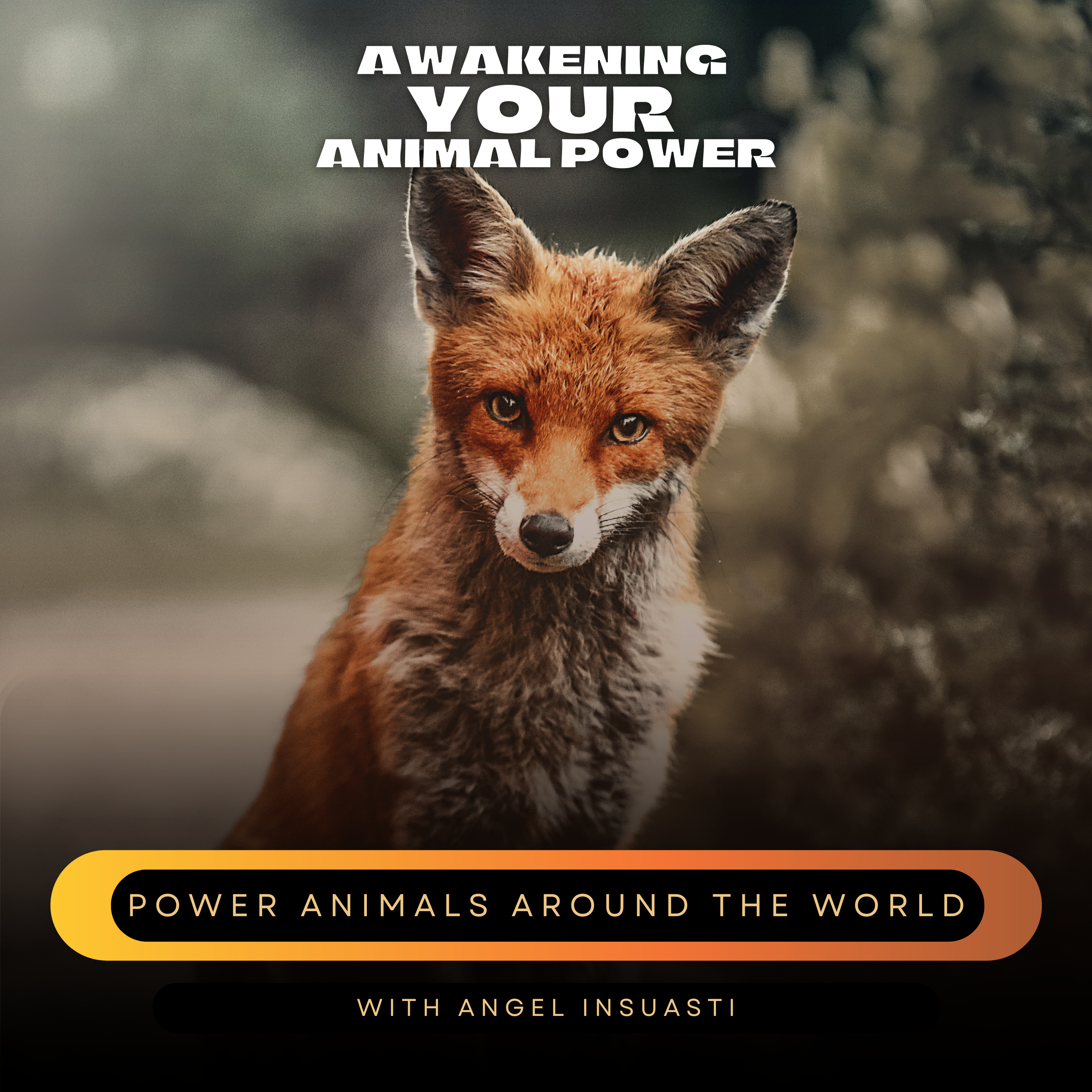 Awakening your Animal Power