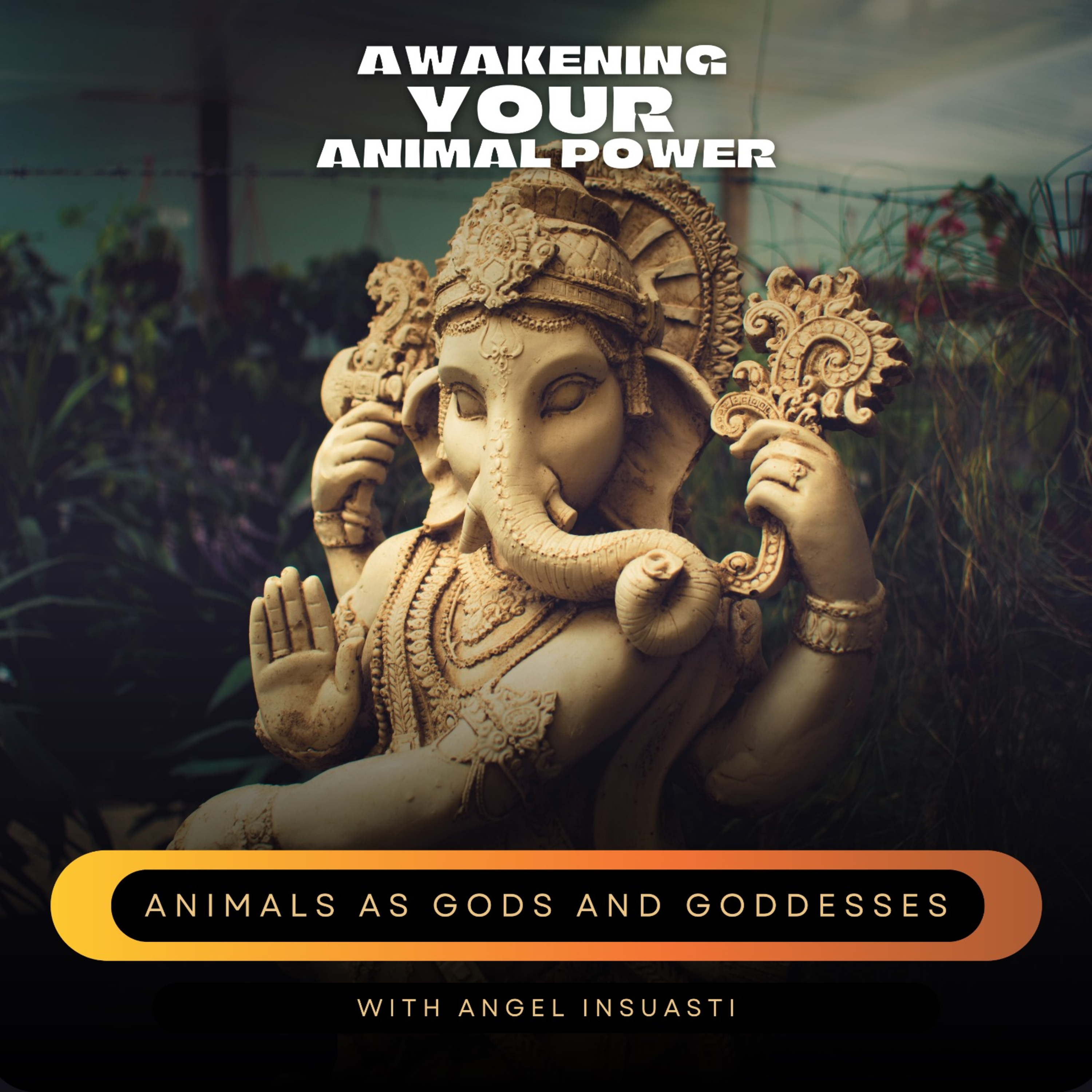 Awakening your Animal Power