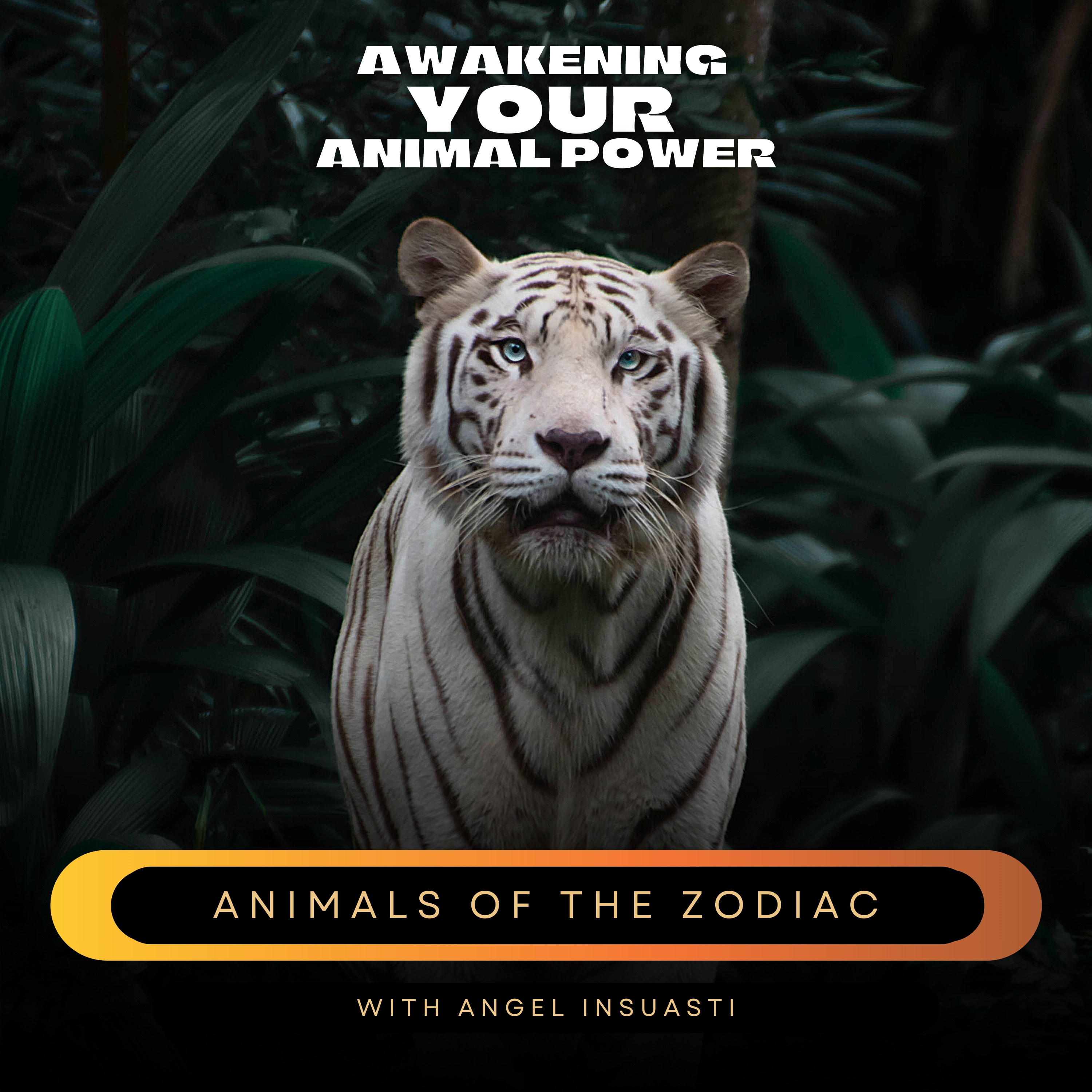 Awakening your Animal Power