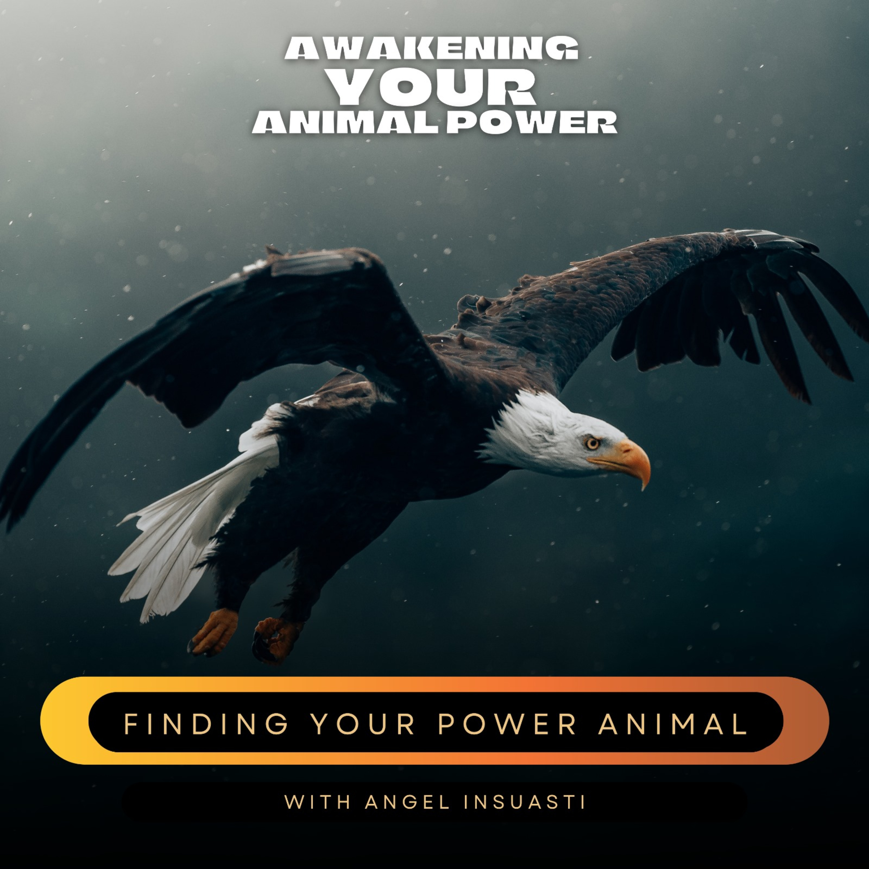 Awakening your Animal Power