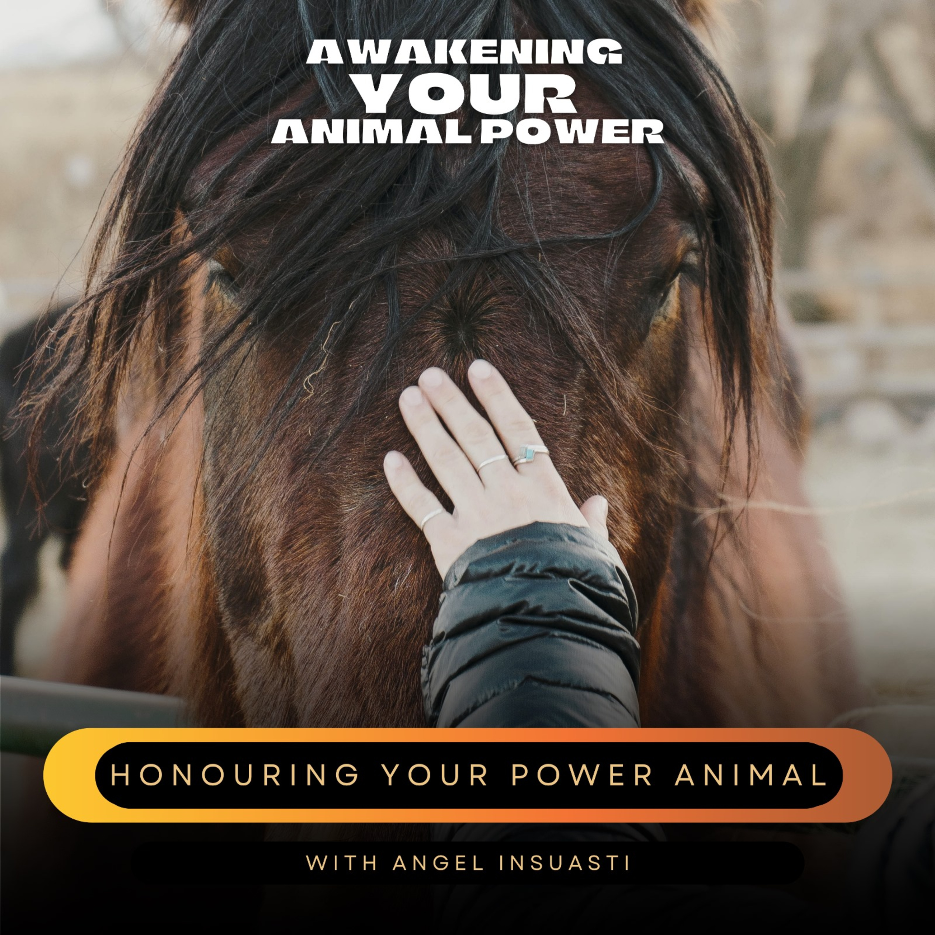 Awakening your Animal Power