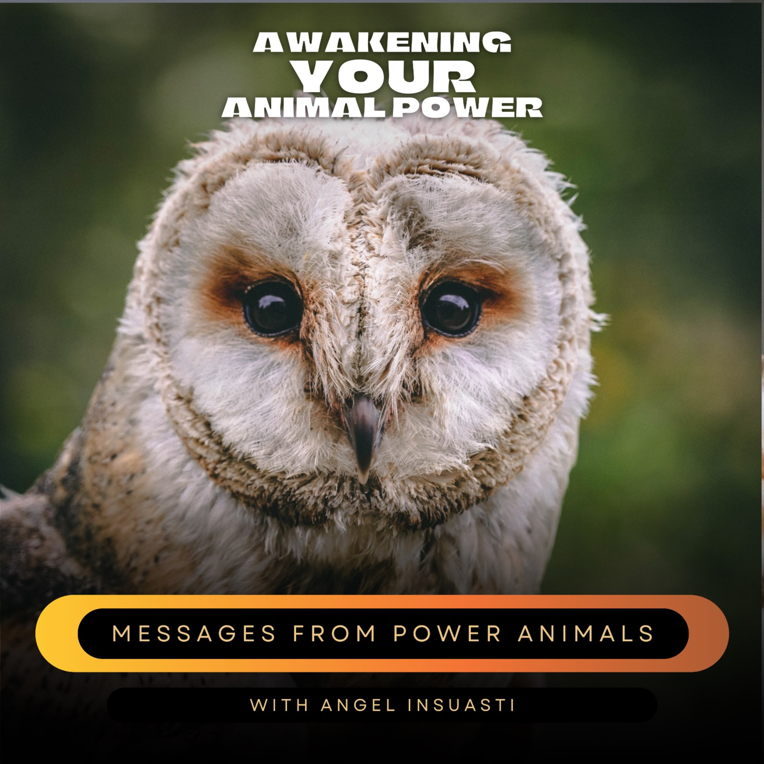 Awakening your Animal Power