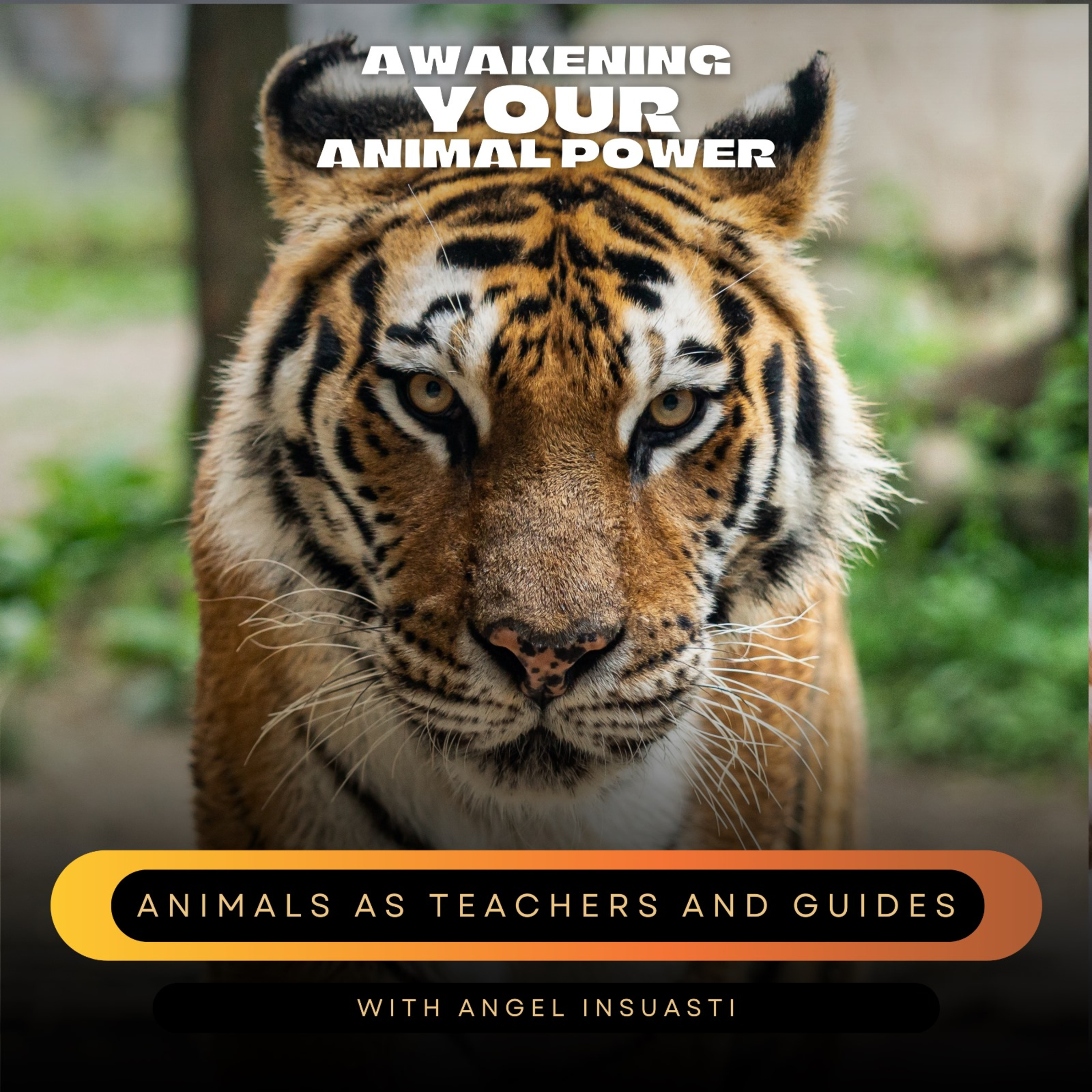 Awakening your Animal Power