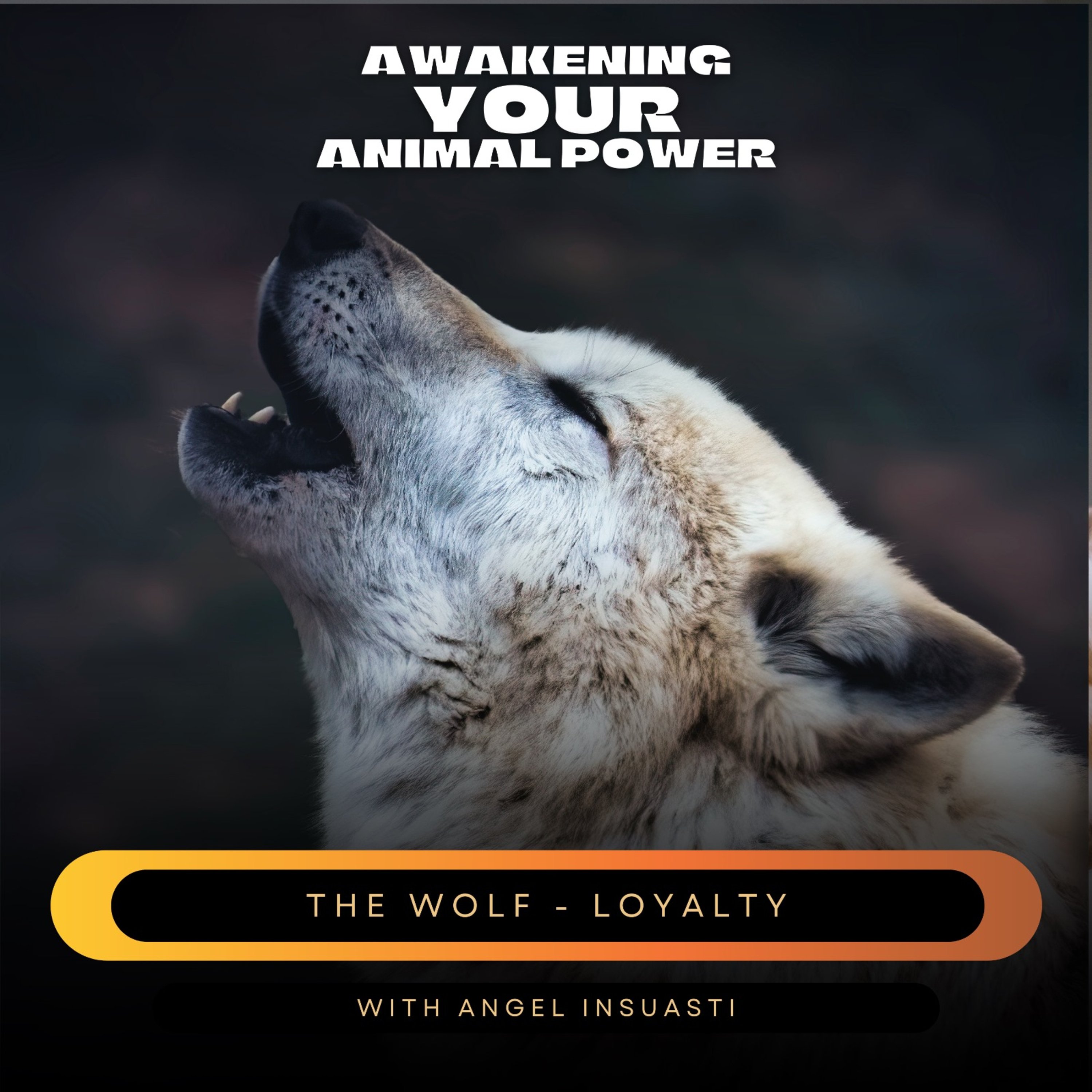 Awakening your Animal Power