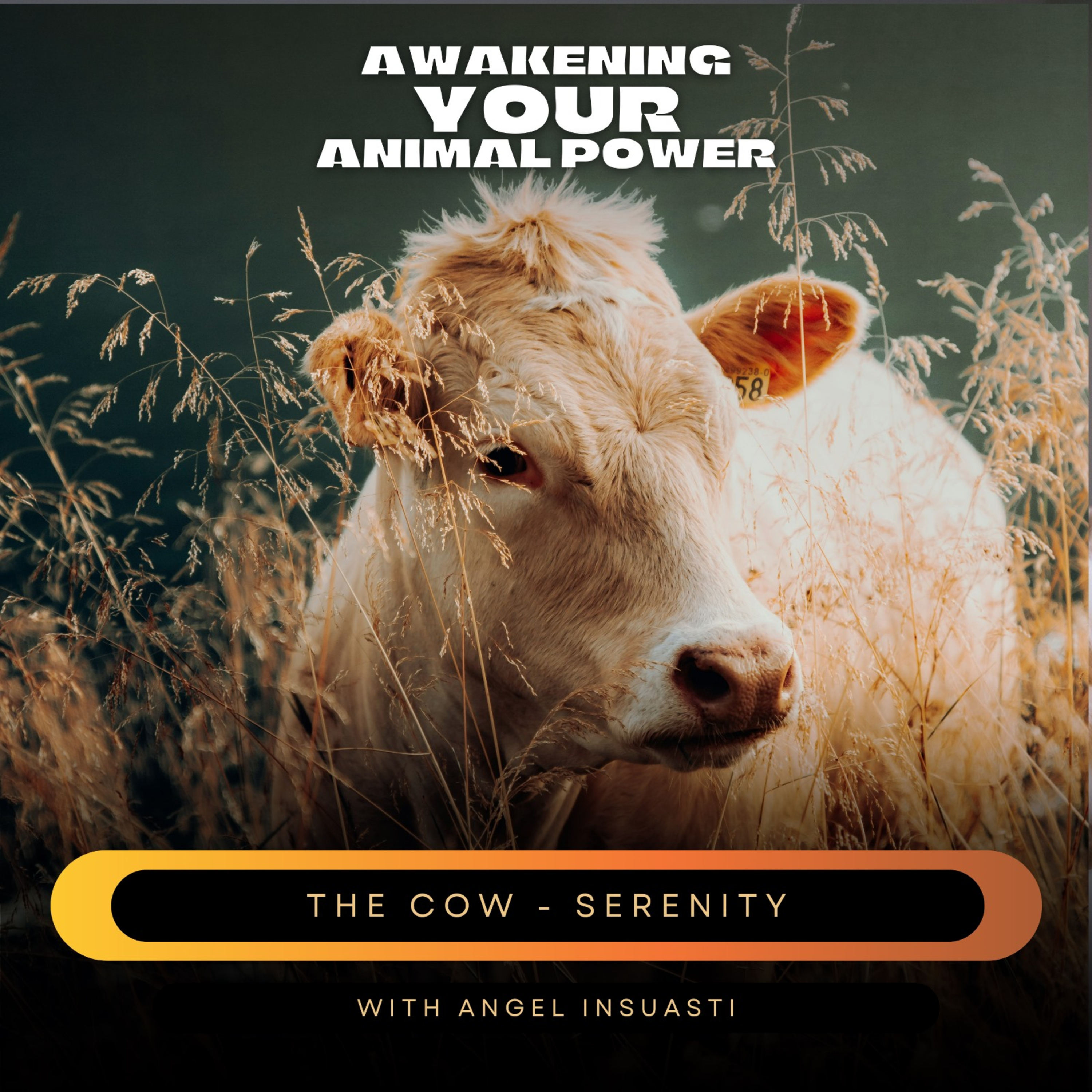 Awakening your Animal Power