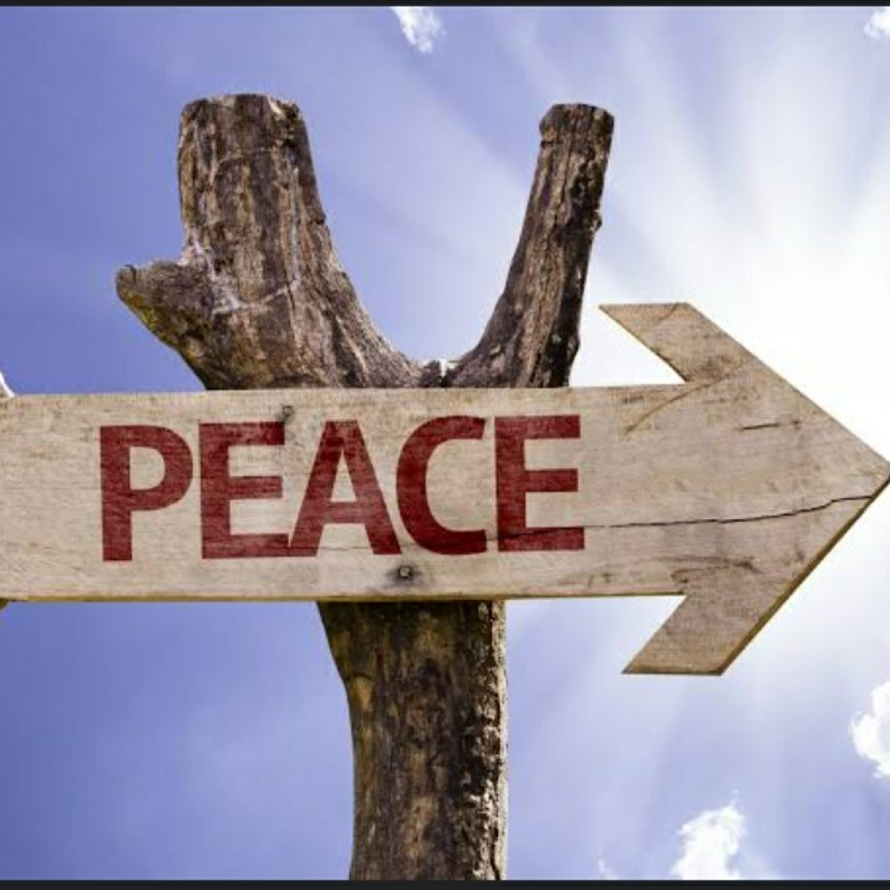 Peace in Fear and Despair  episode artwork