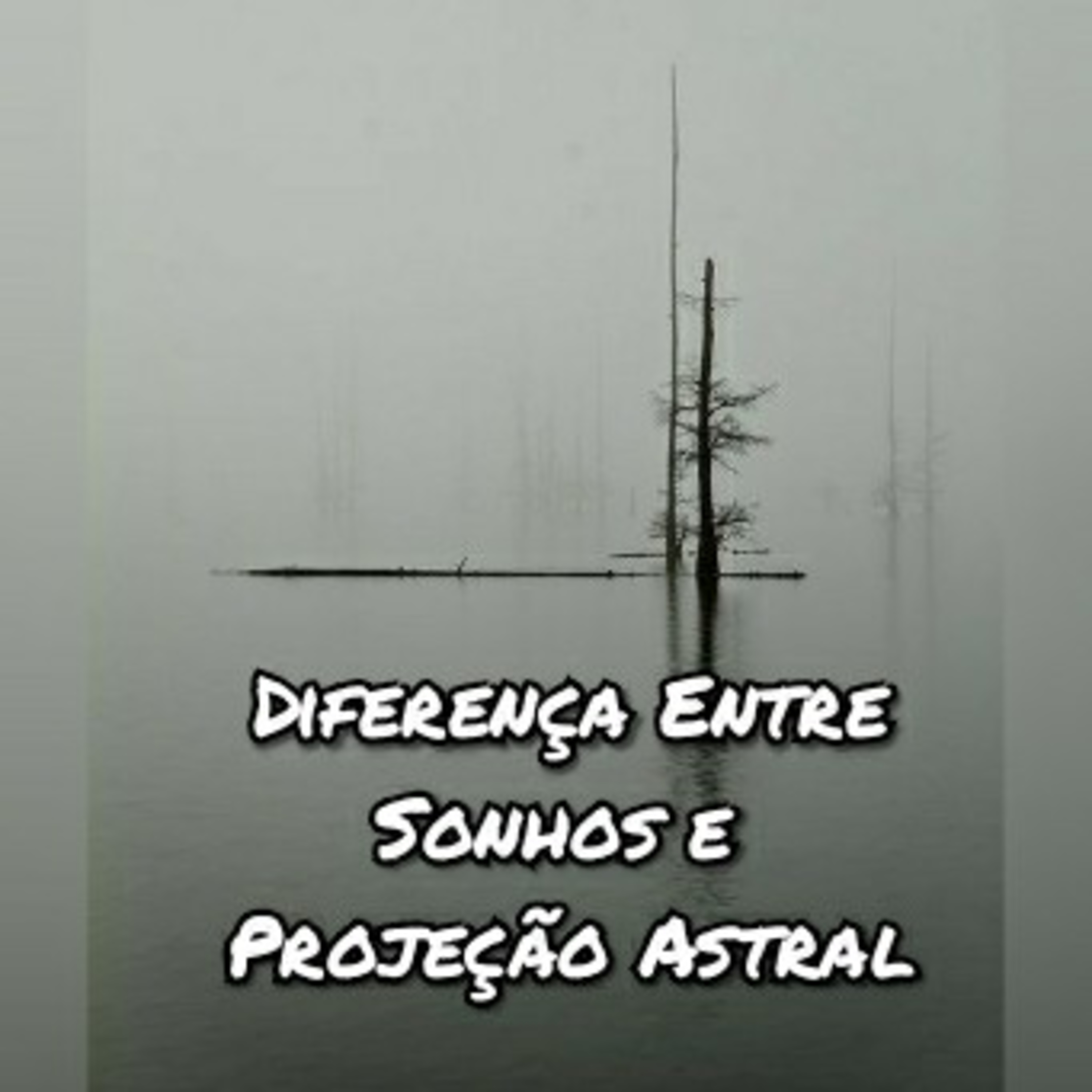 Espiritualidade Por Elisabette Godoy