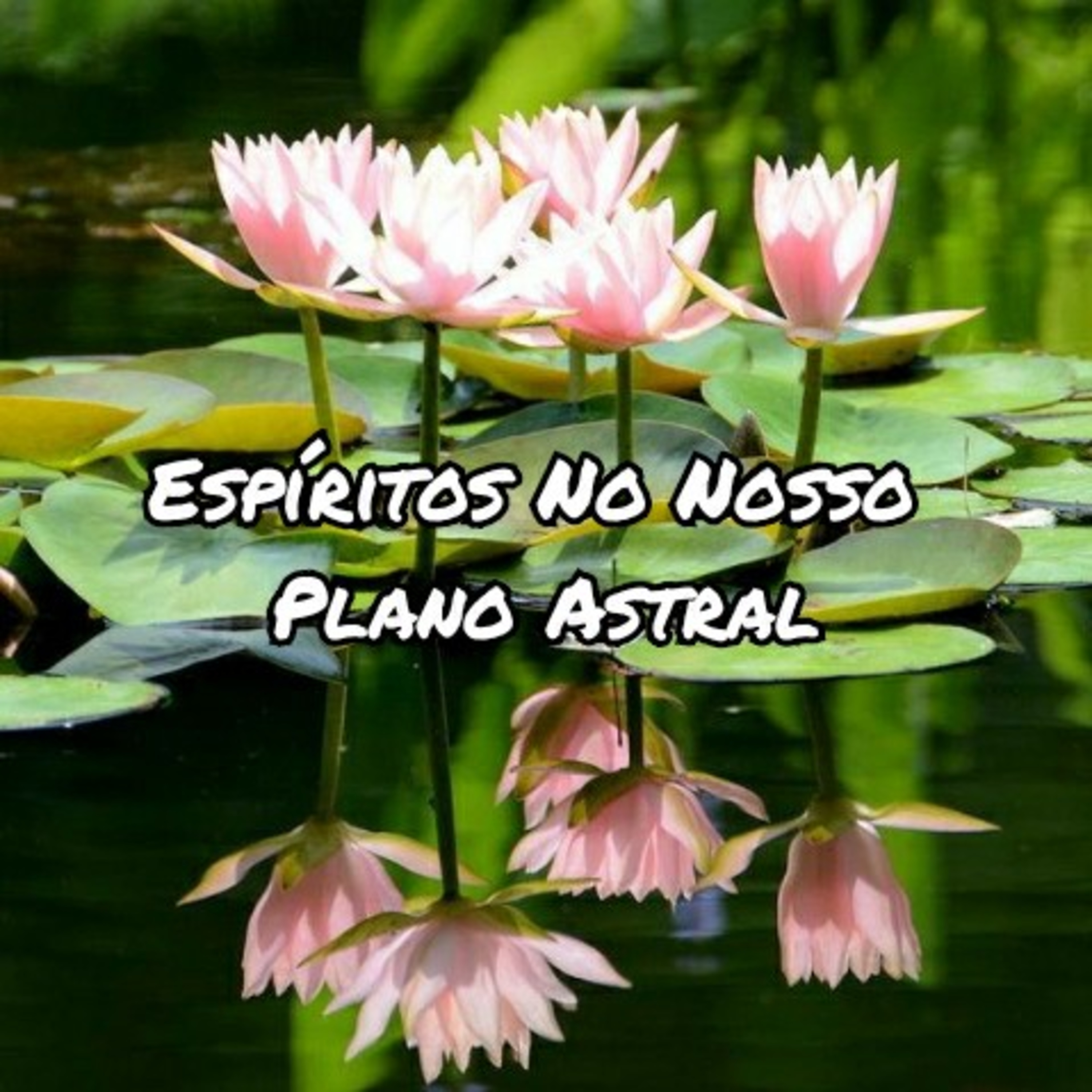 Espiritualidade Por Elisabette Godoy