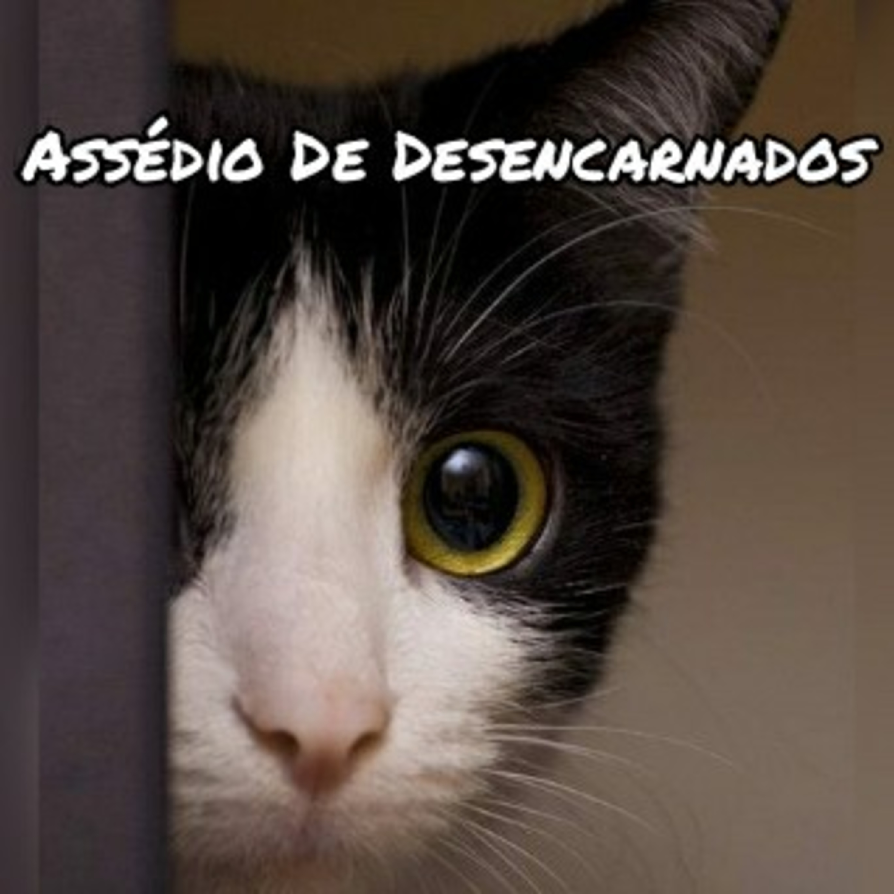 Espiritualidade Por Elisabette Godoy