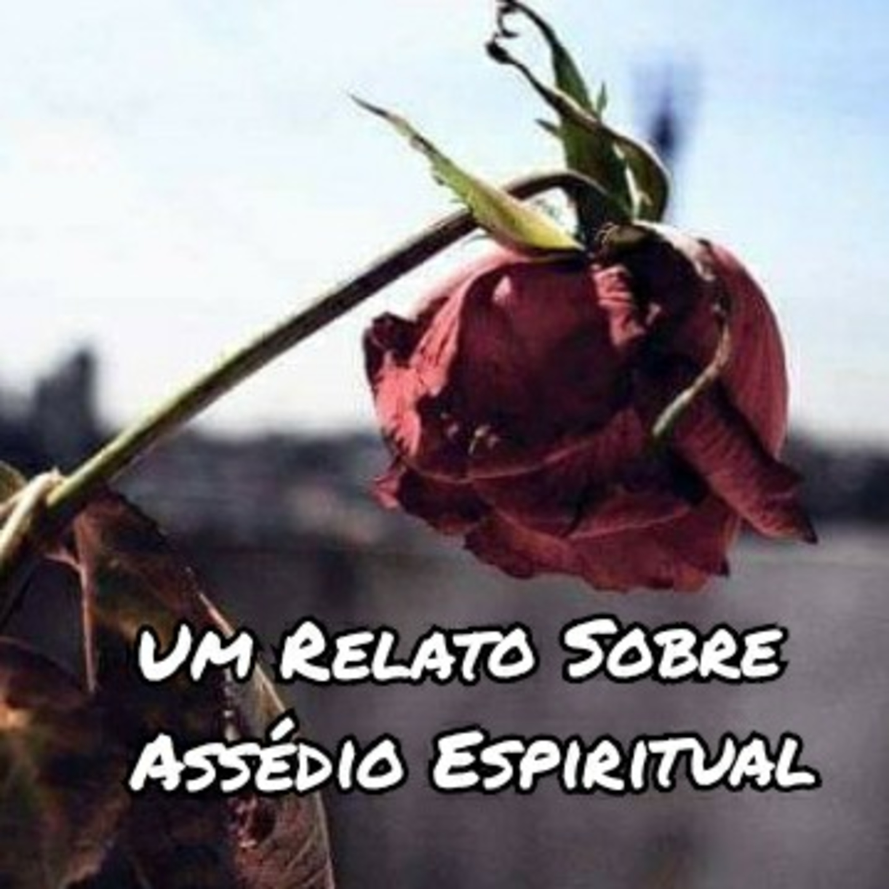 Espiritualidade Por Elisabette Godoy