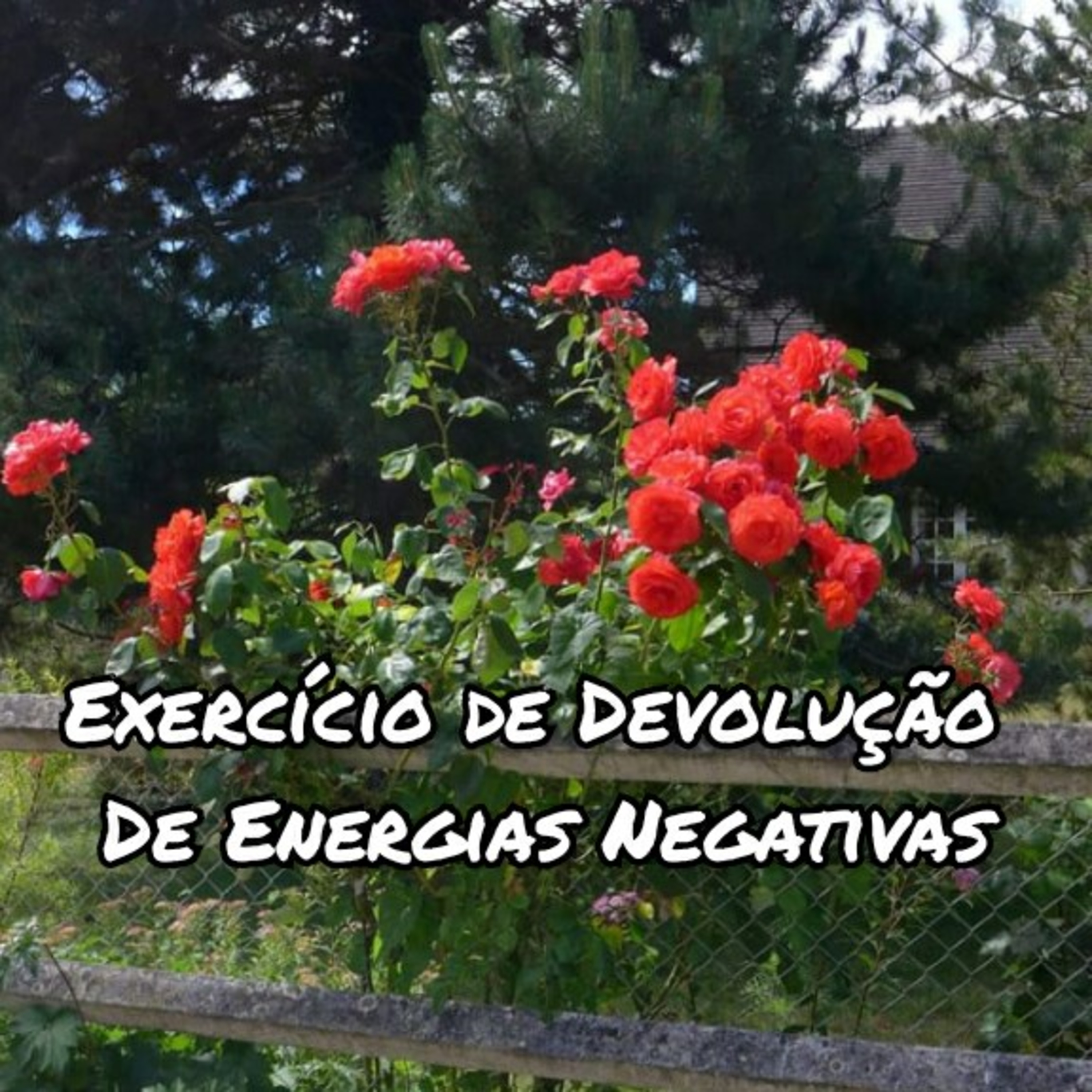 Espiritualidade Por Elisabette Godoy