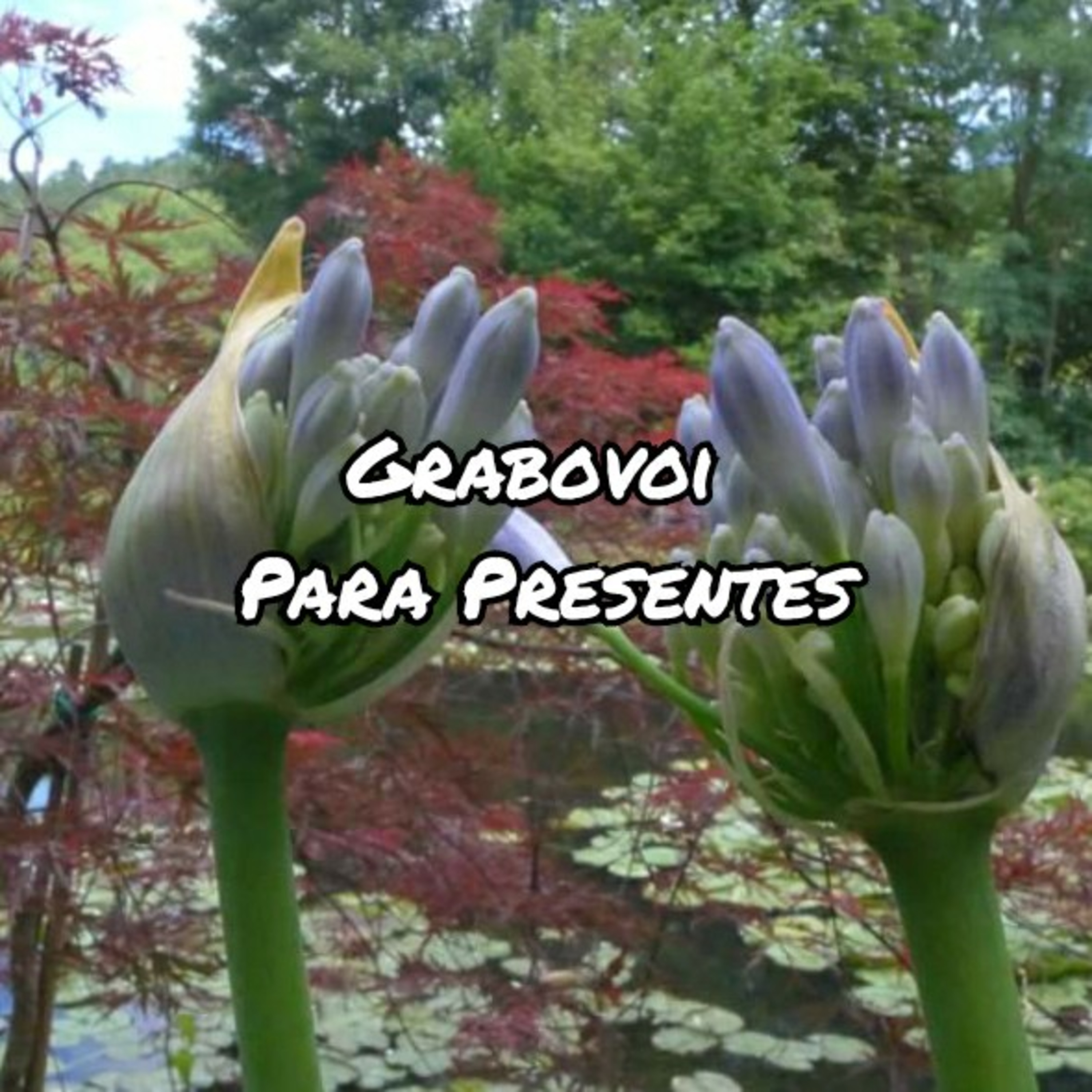 Espiritualidade Por Elisabette Godoy