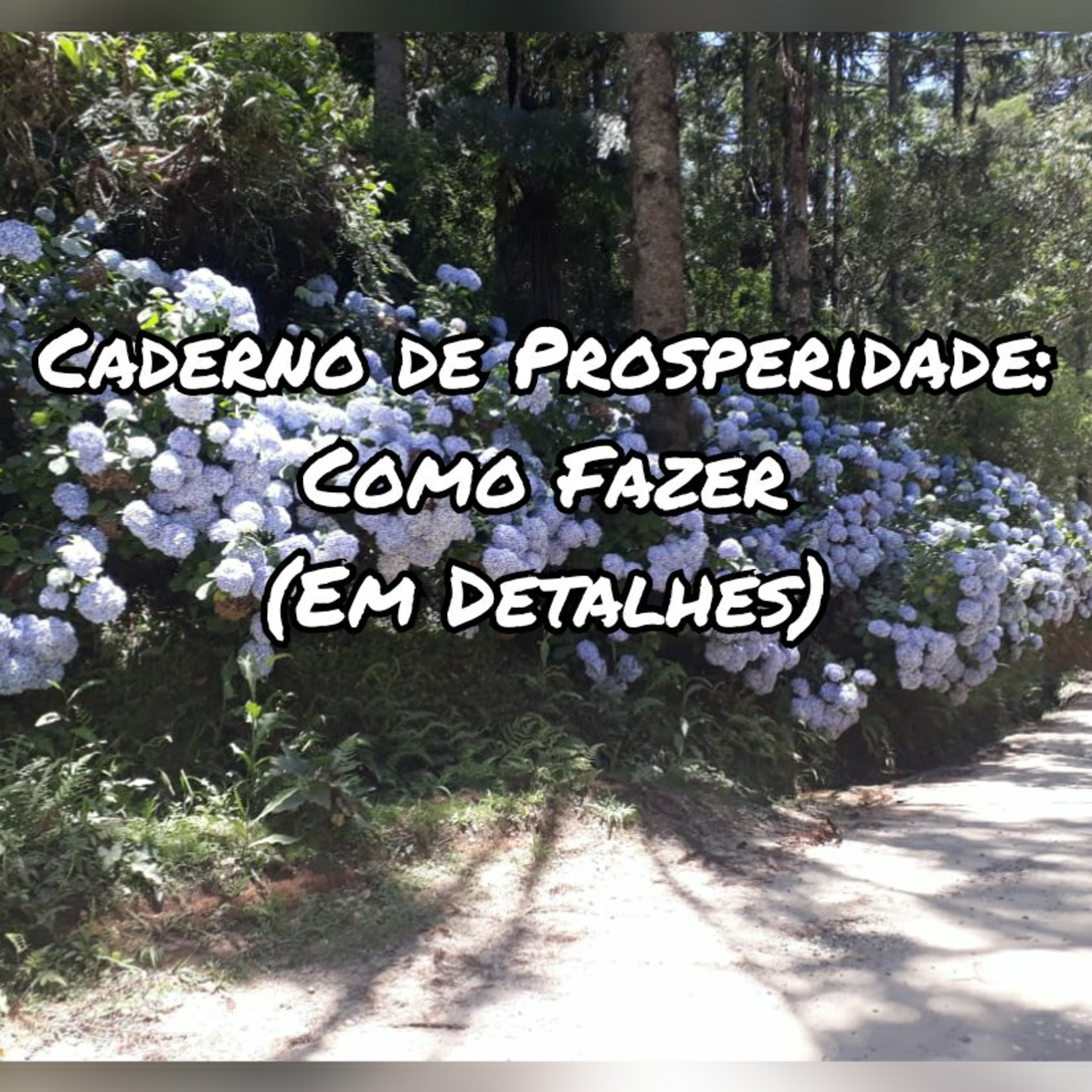 Espiritualidade Por Elisabette Godoy